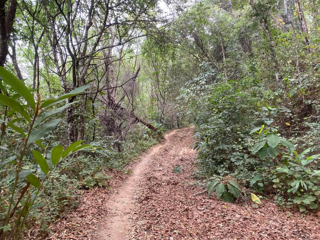 Chiang Mai to Pai Off-road - Option 1
