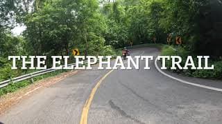 The Old Elephant Trail — video 2