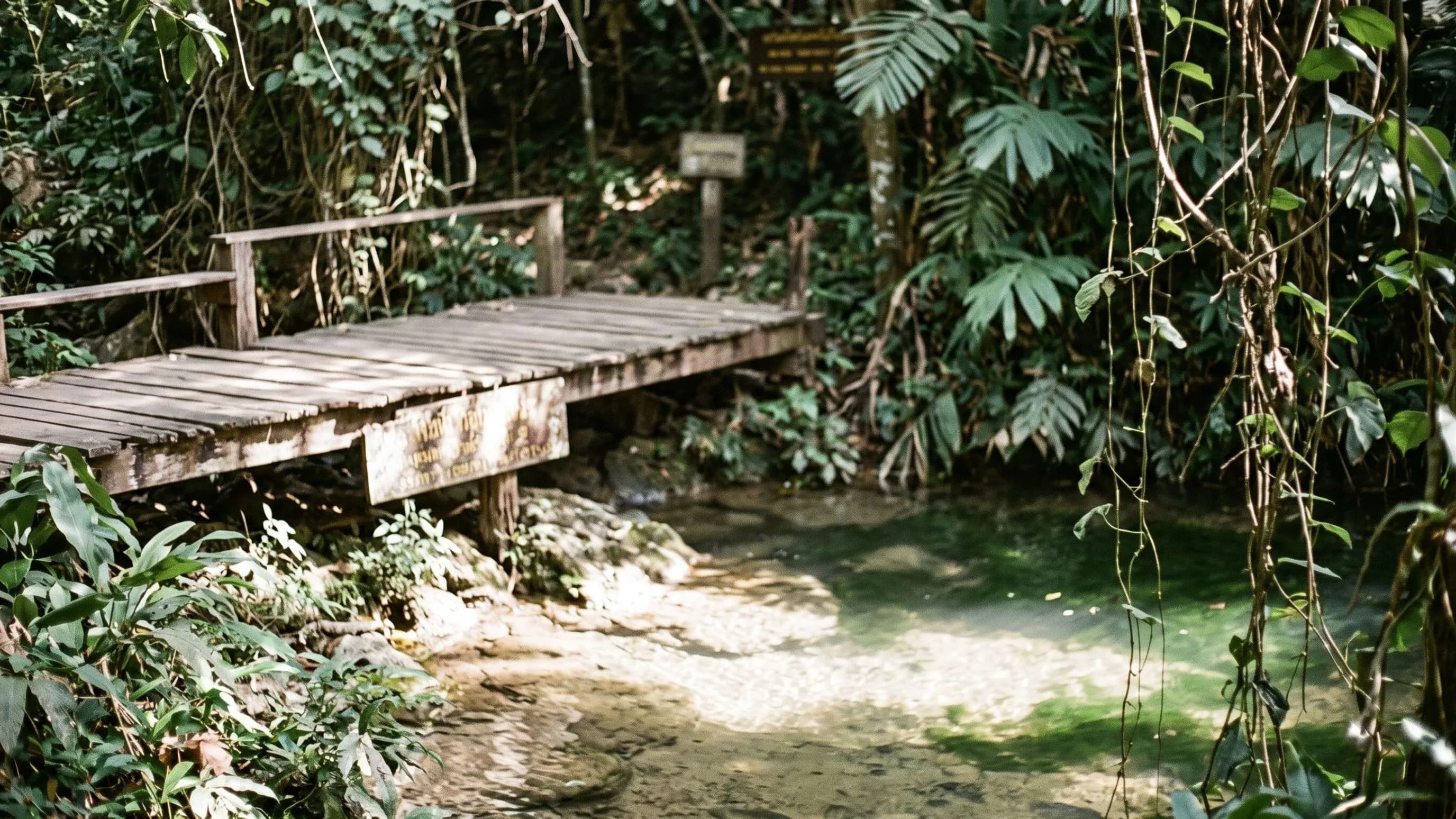 Klo Ko Waterfall Forest Park — park photo