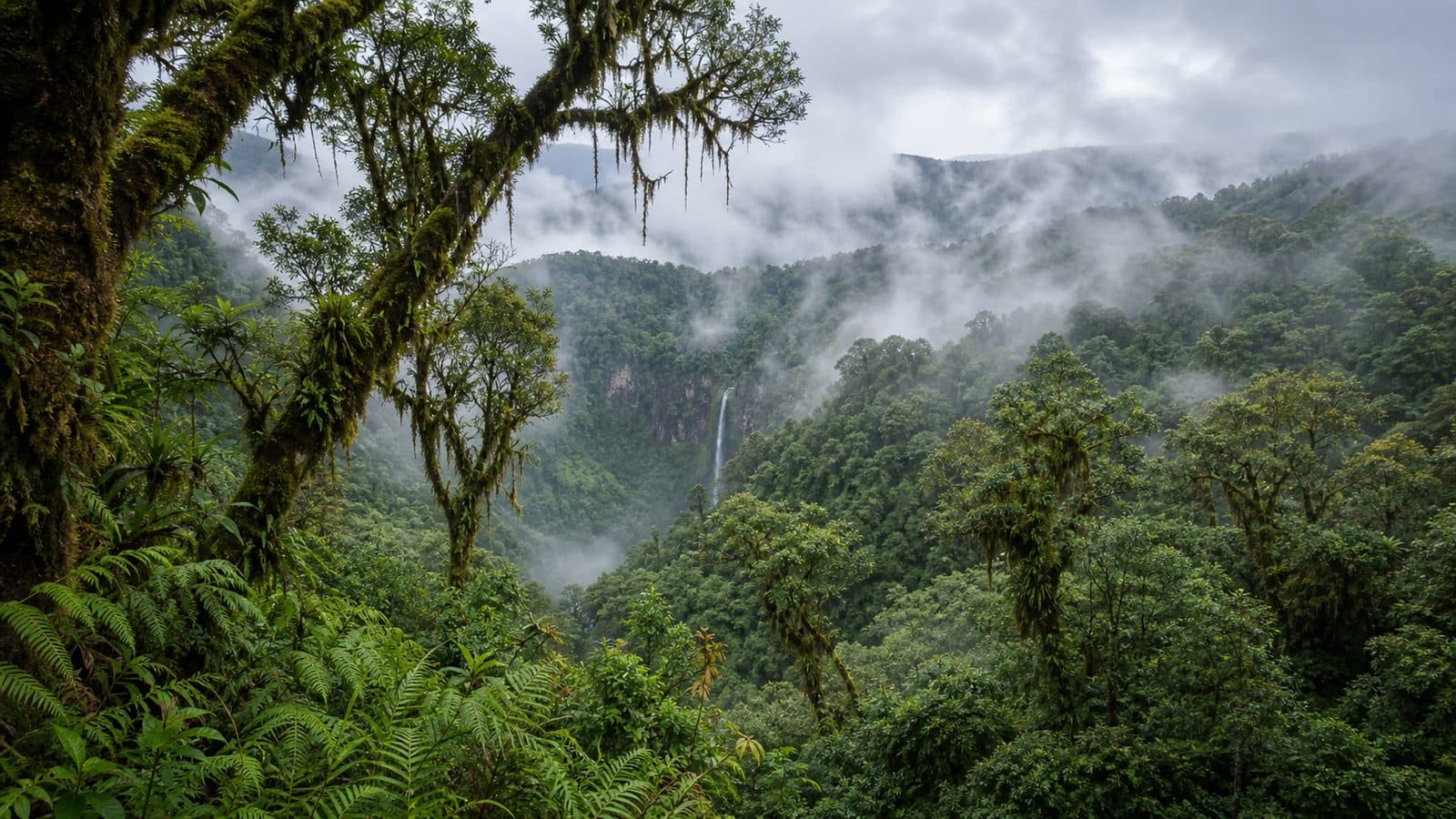 Doi Inthanon National Park