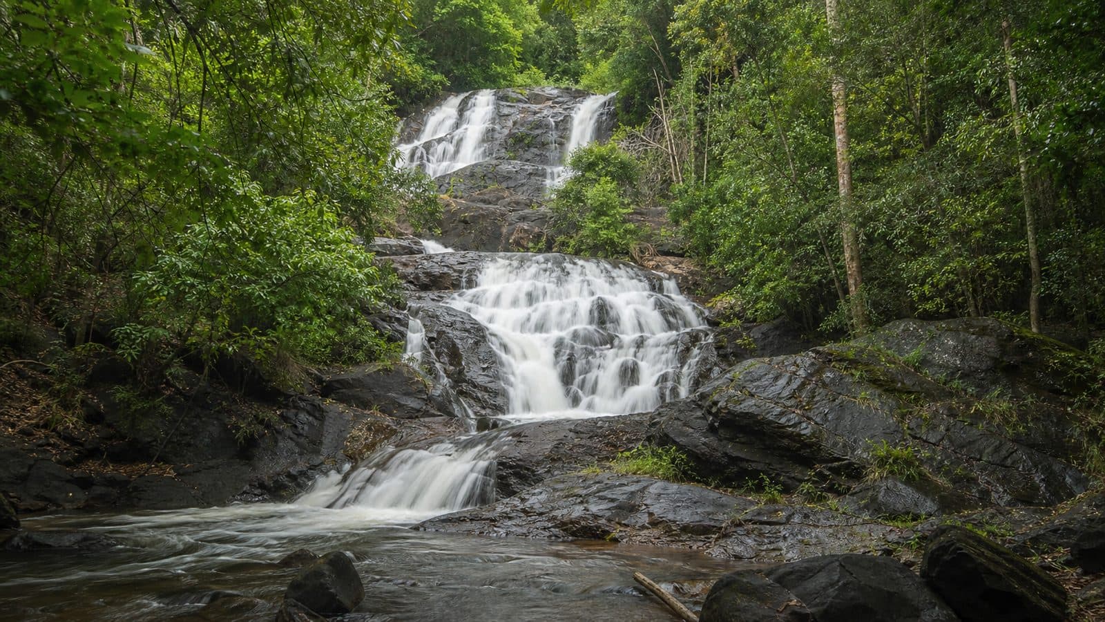 Huai Mae Saed Forest Park