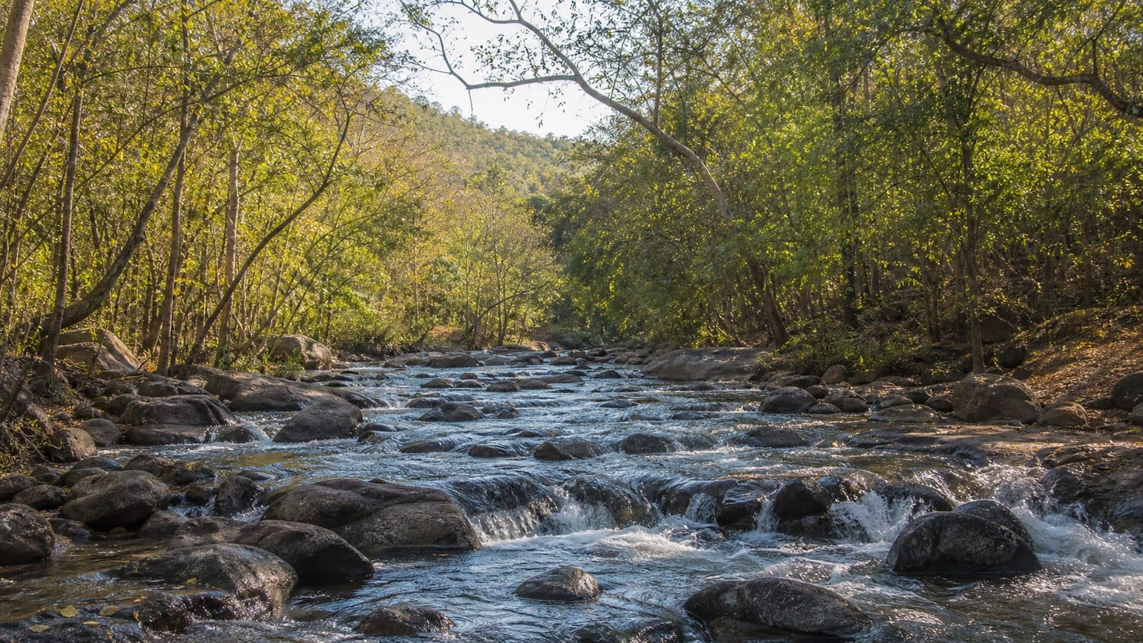 Kaeng Huai Tak Forest Park