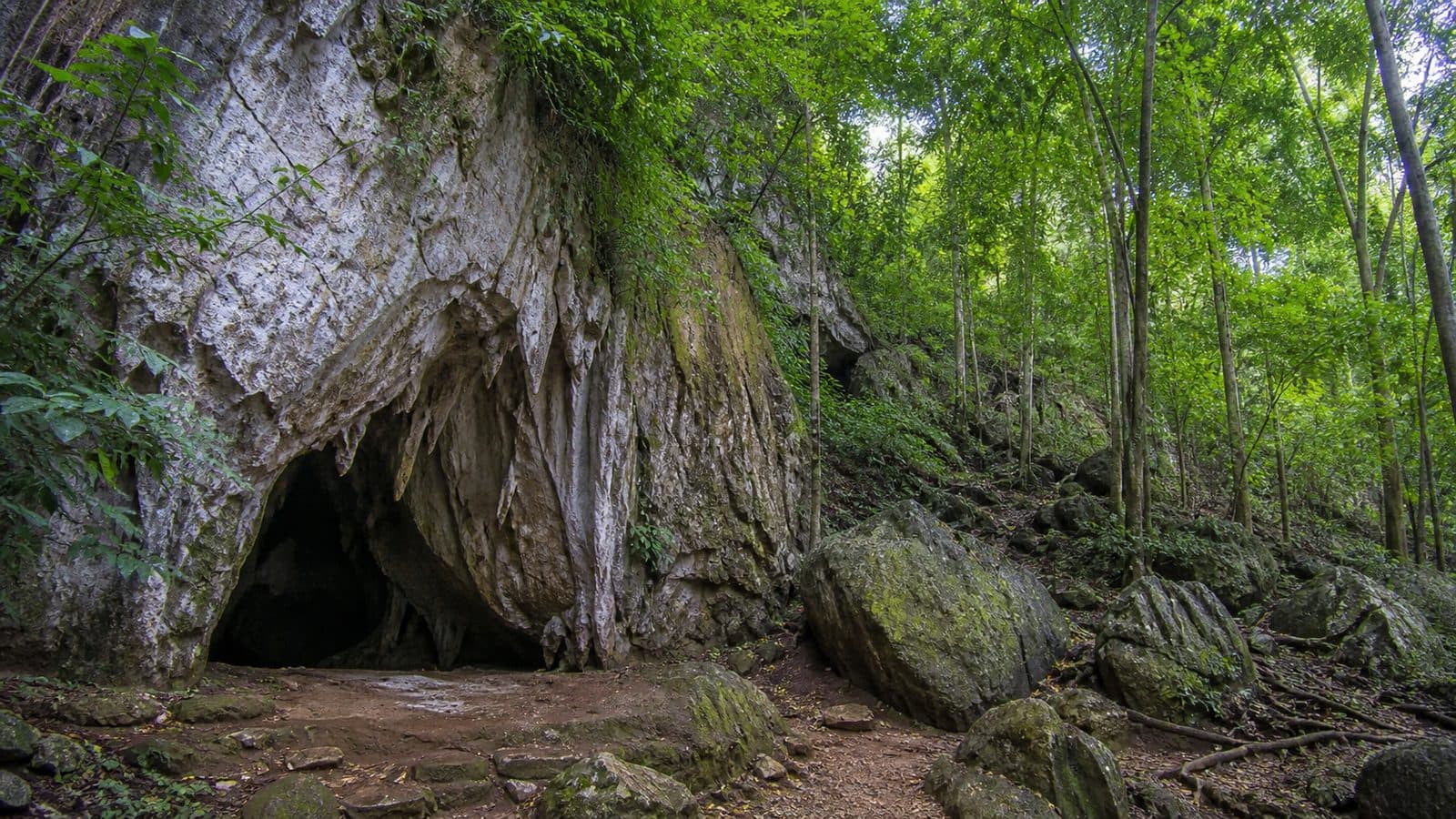 Kaeo Komon Cave Forest Park