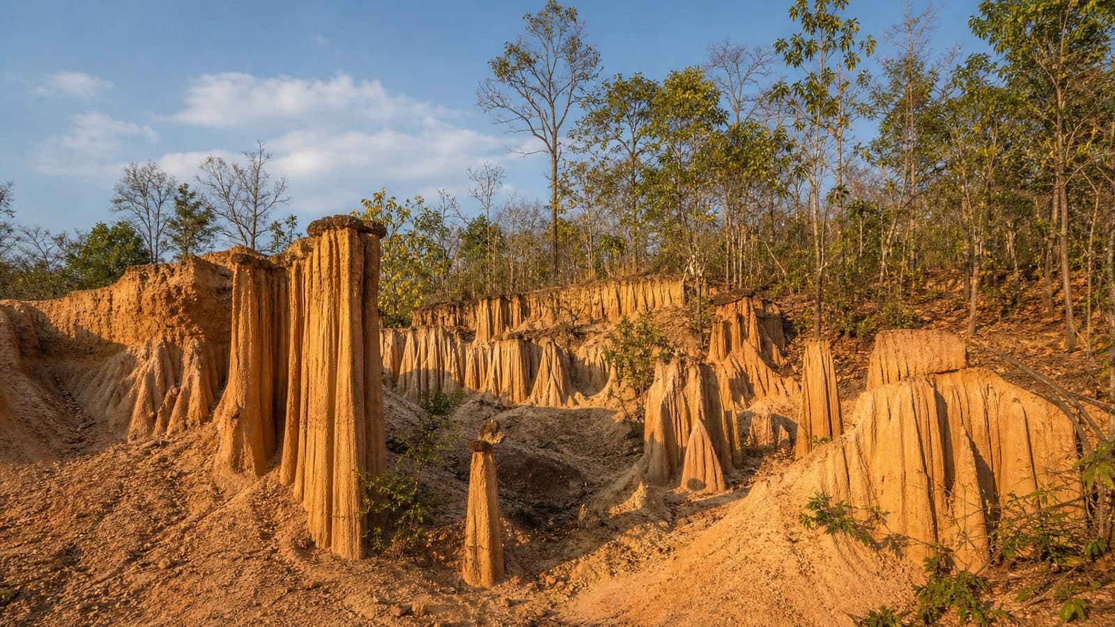 Phae Mueang Phi Forest Park
