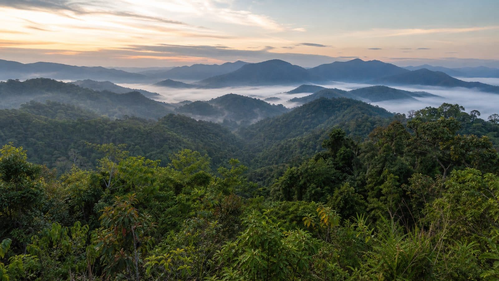 Phaya Phiphak Forest Park