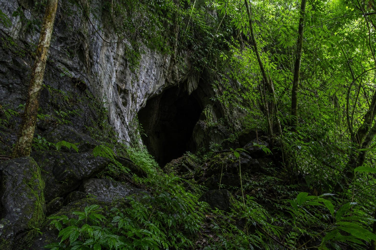 Ta Khobi Cave Forest Park
