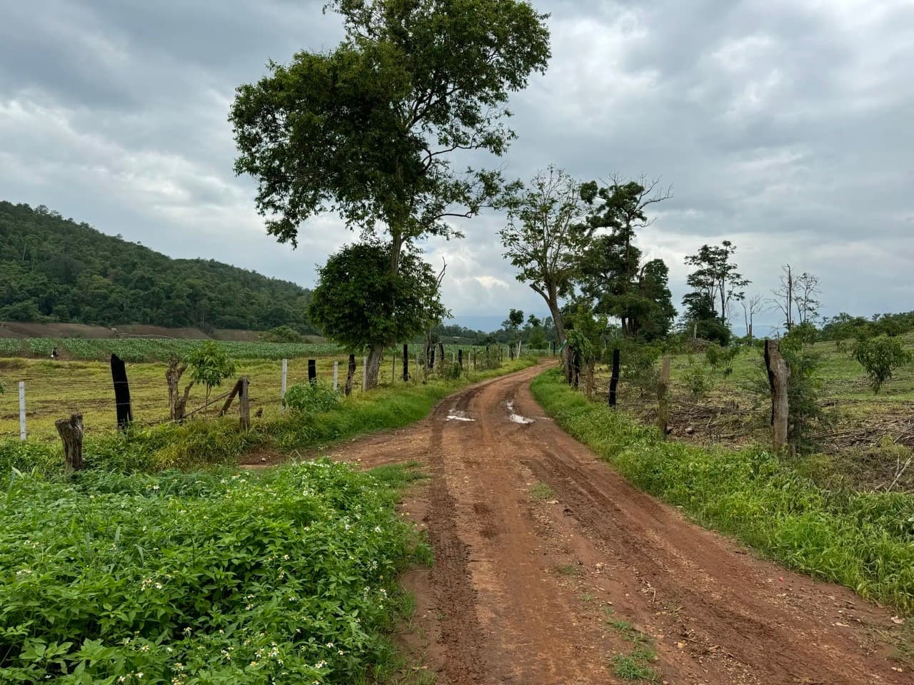 Muang Khong to Wiang Haeng