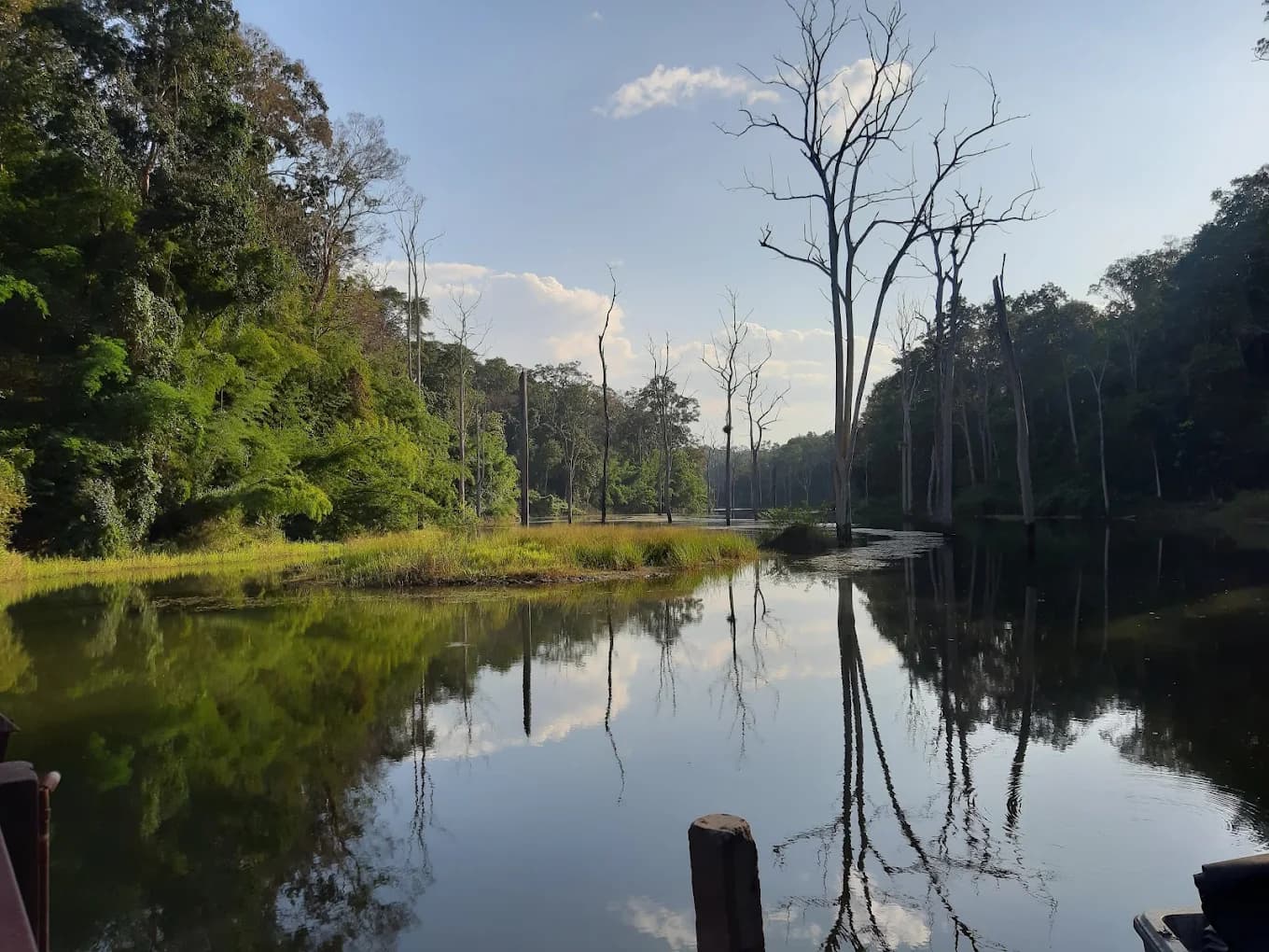Doi Wiang La Forest Park