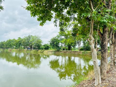 Nong Nam Khao Forest Park