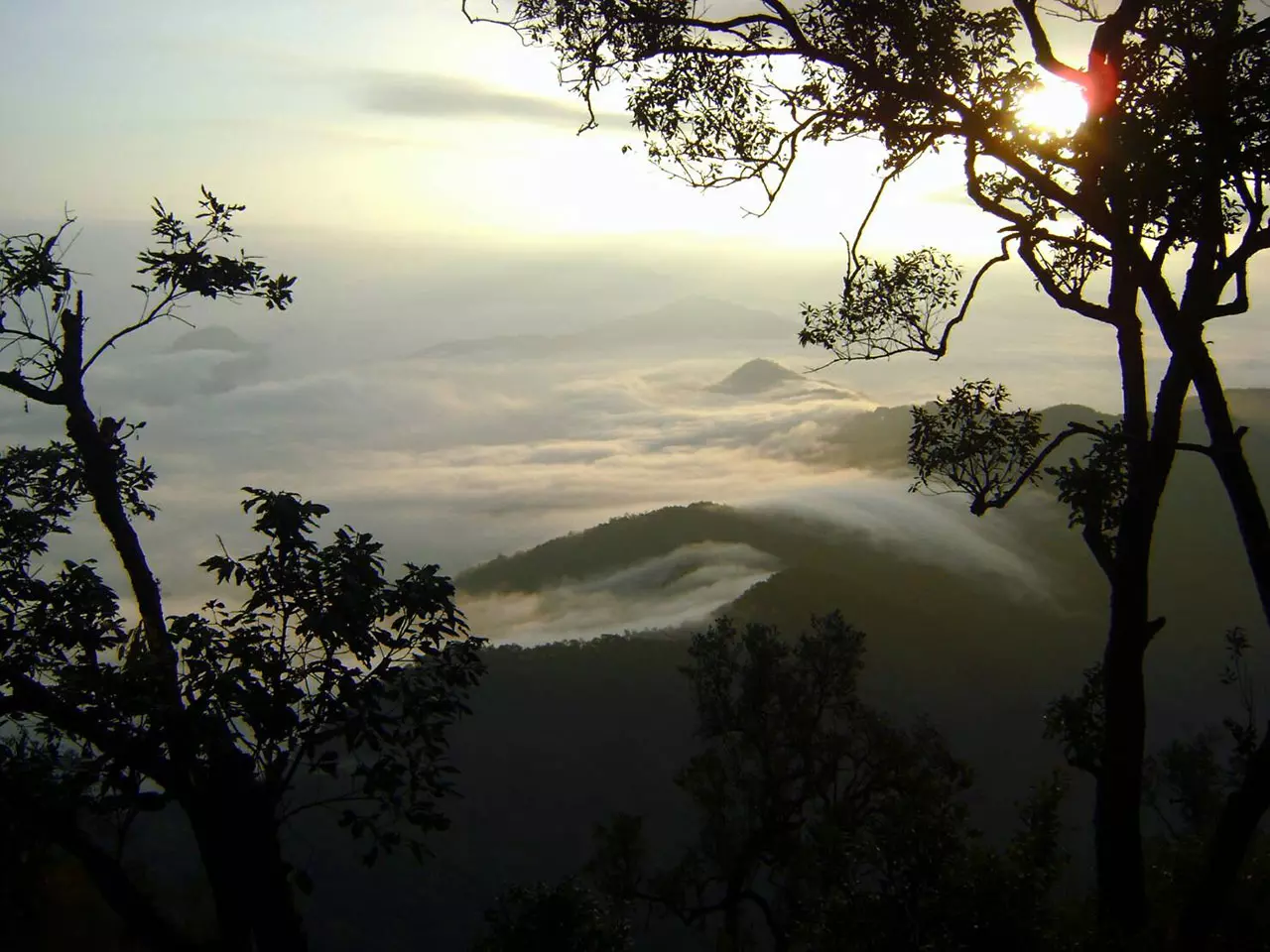 Phu Chom Dao Forest Park
