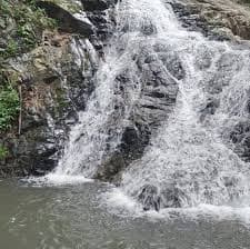 Huai Mae Sak Forest Park