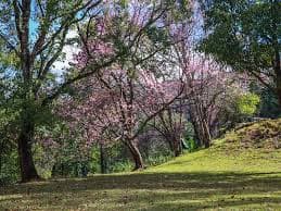 Mae Sae Wildlife Santucary