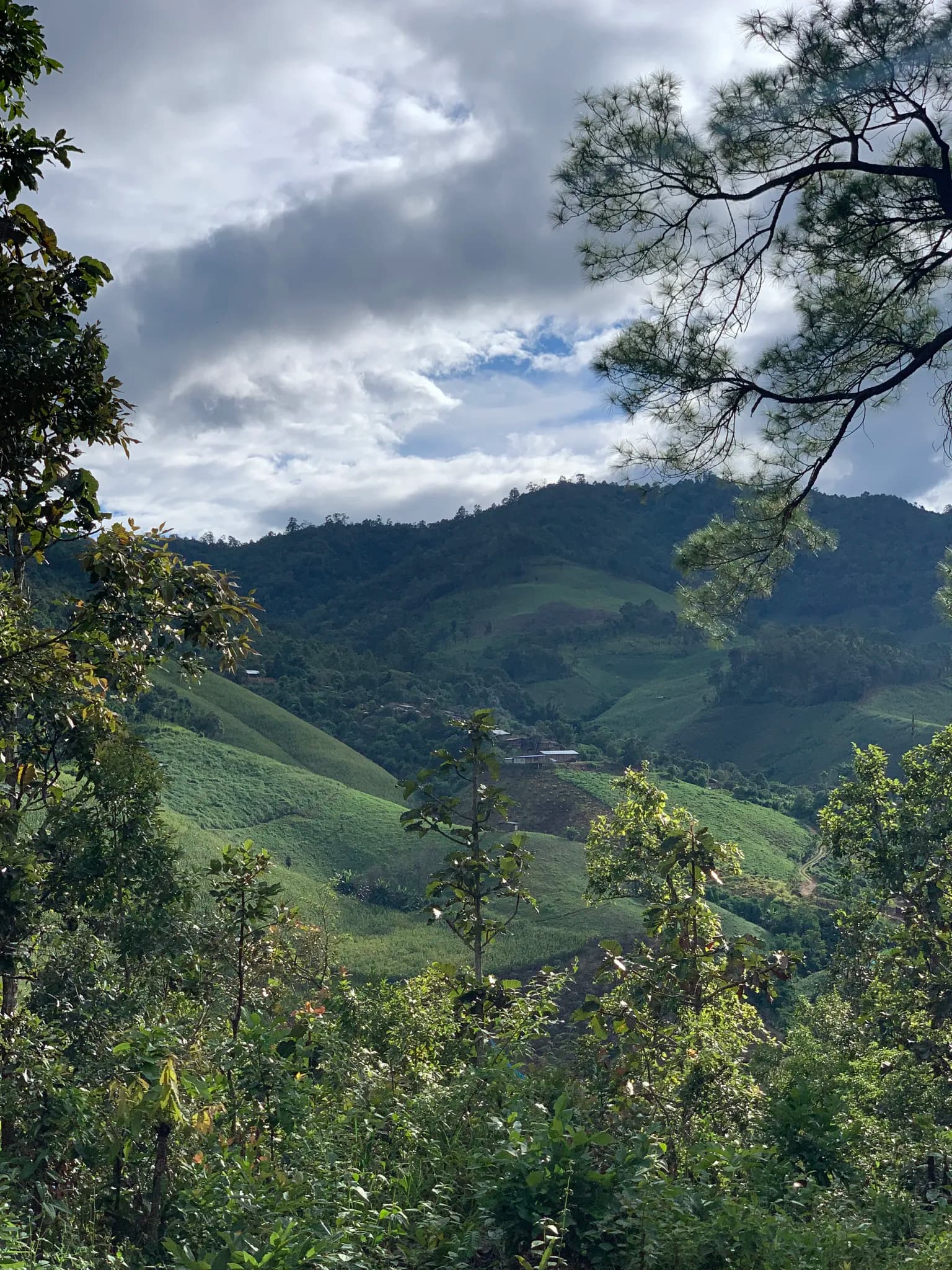 PaiLoop4 — trail photo