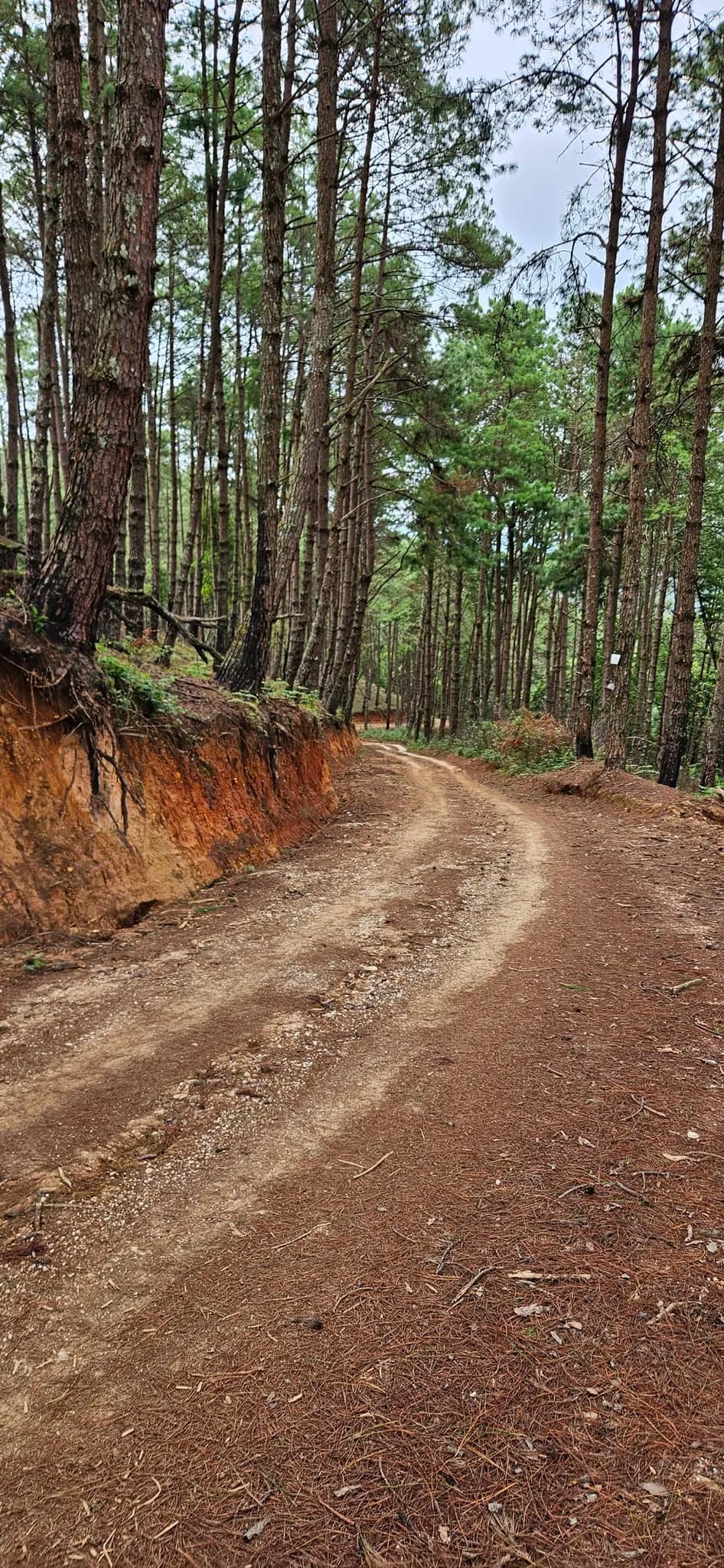 Pai Loop 3 — trail photo