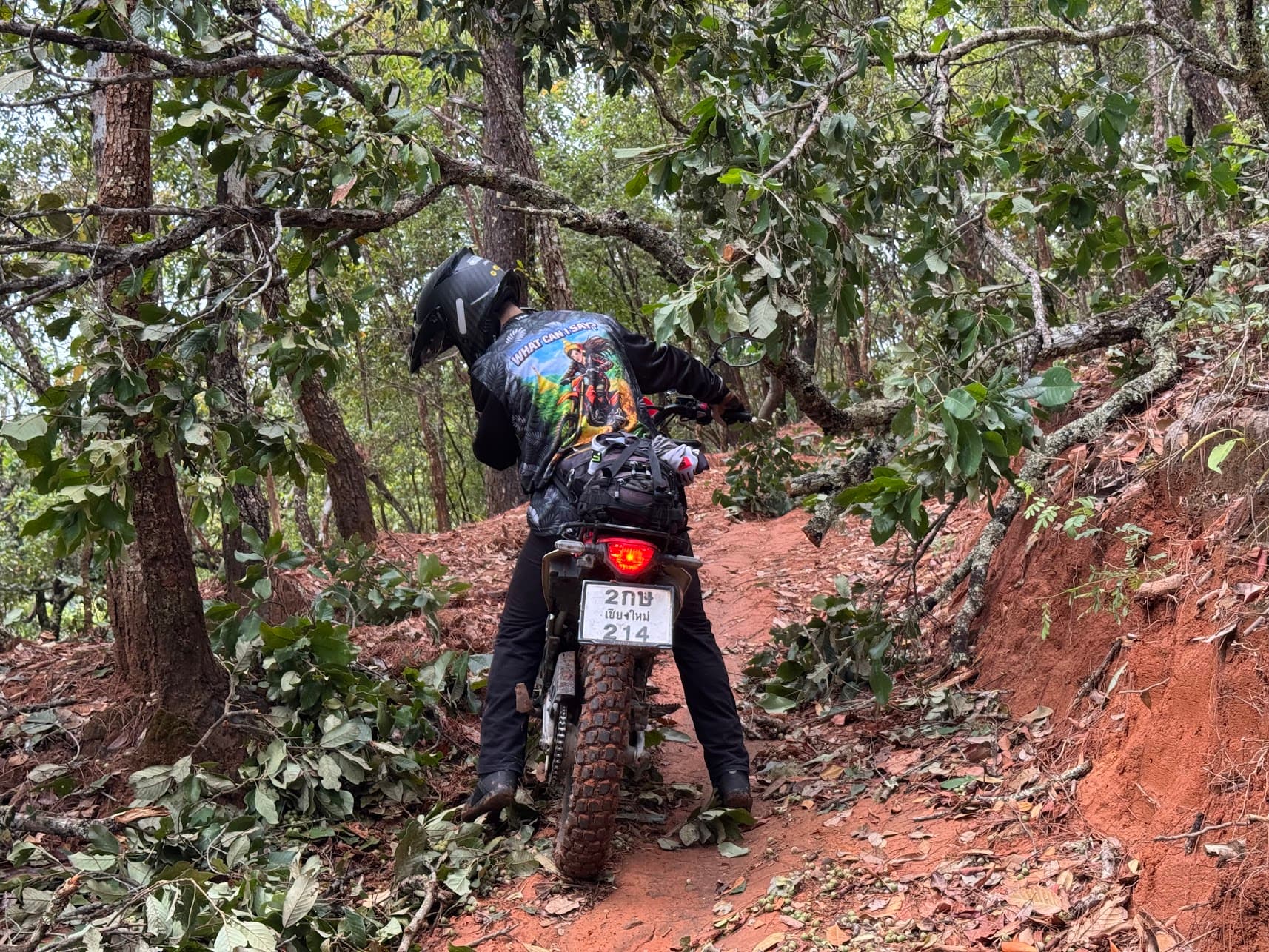 Pai Border Loop — trail photo