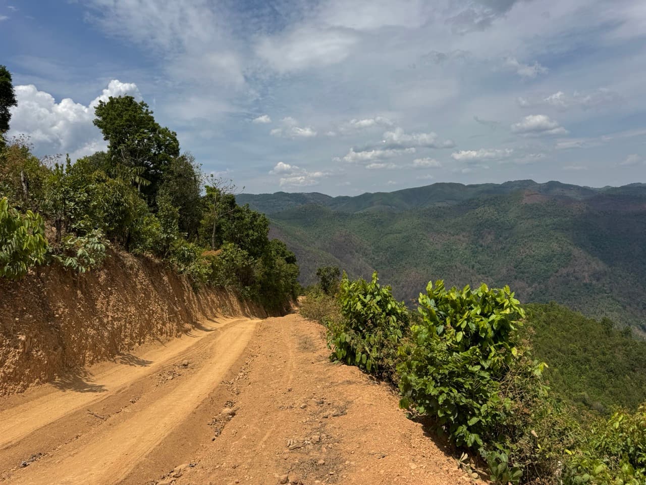 Image 33