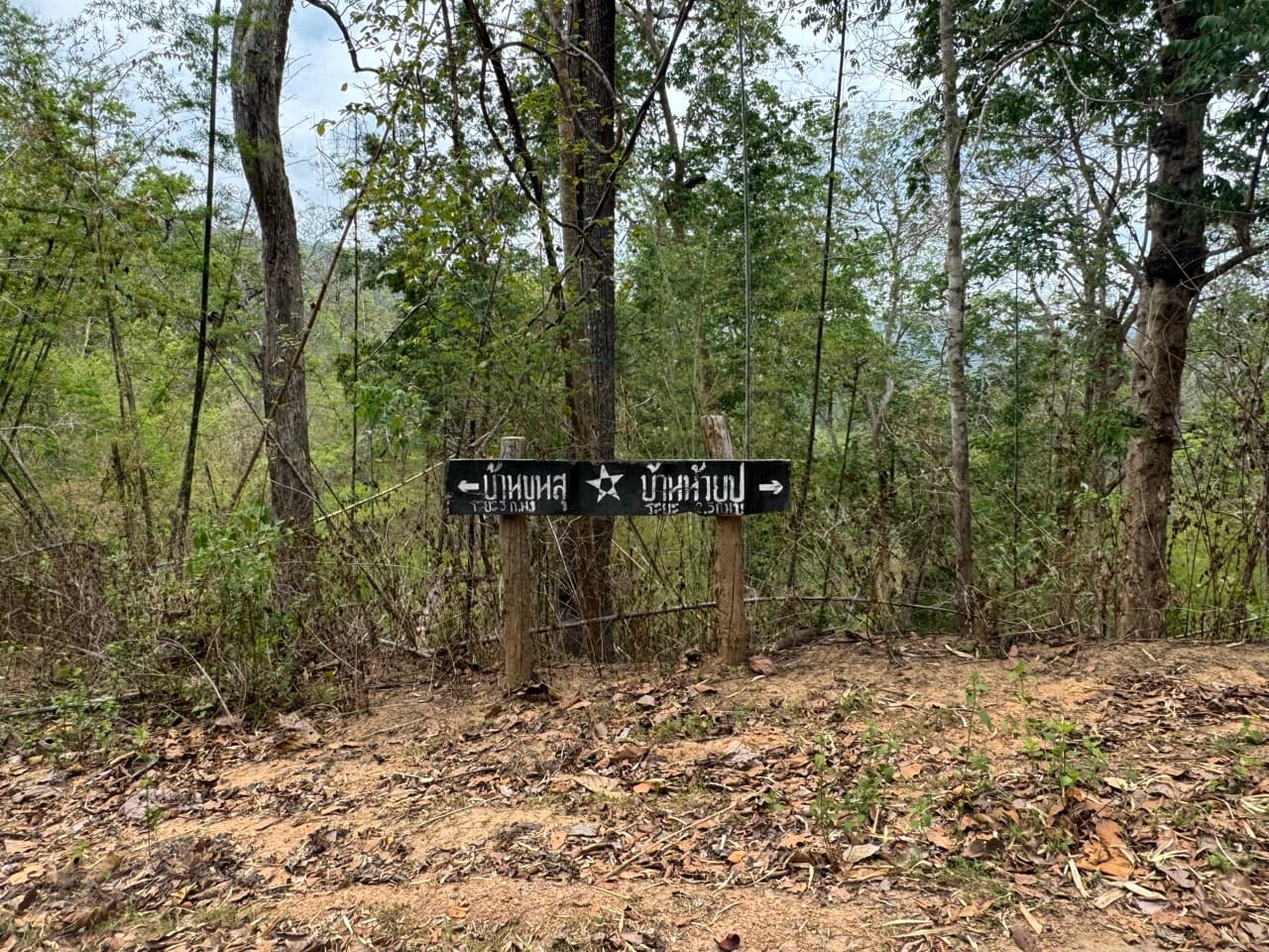 Image 13