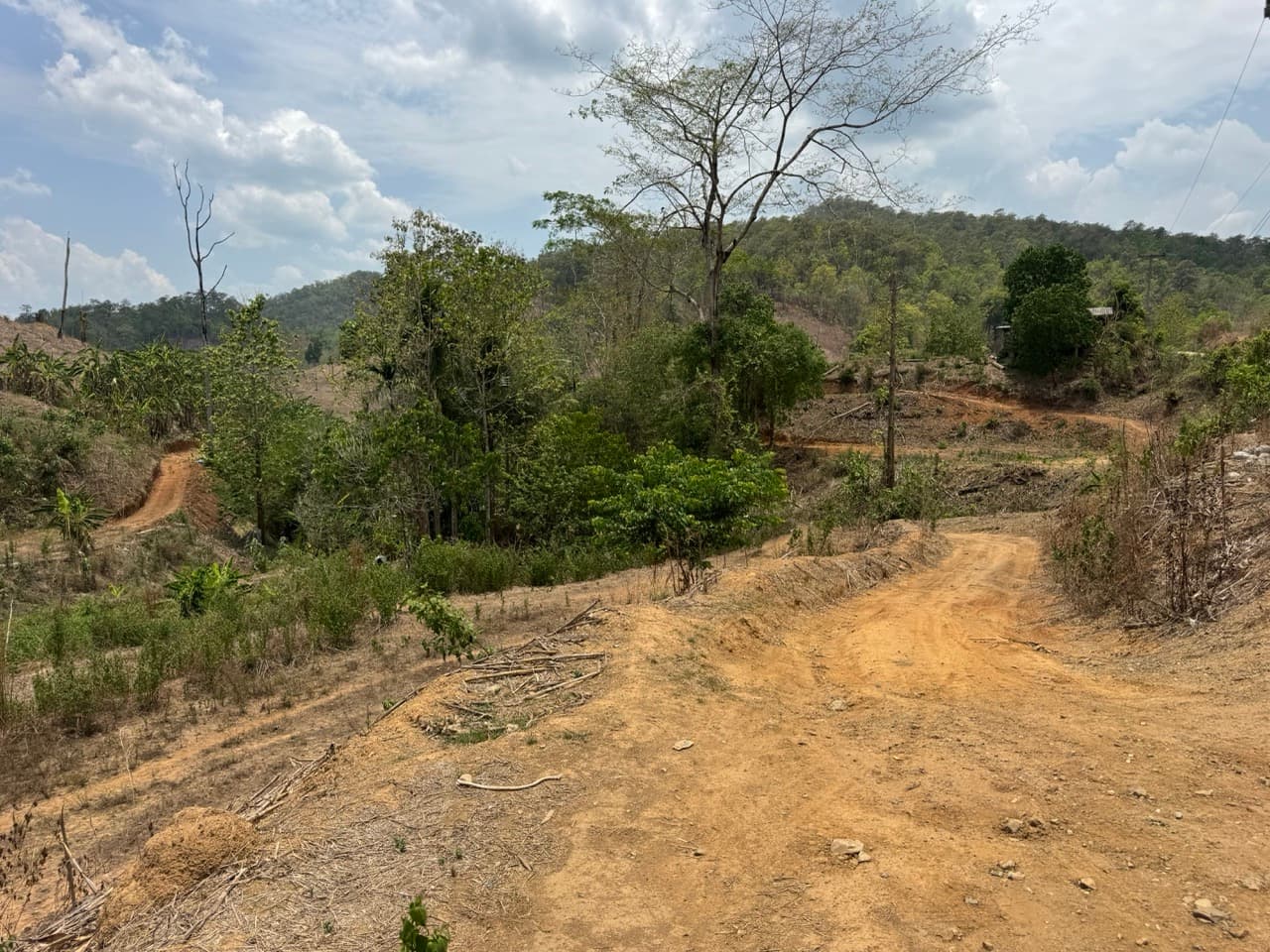 Image 14