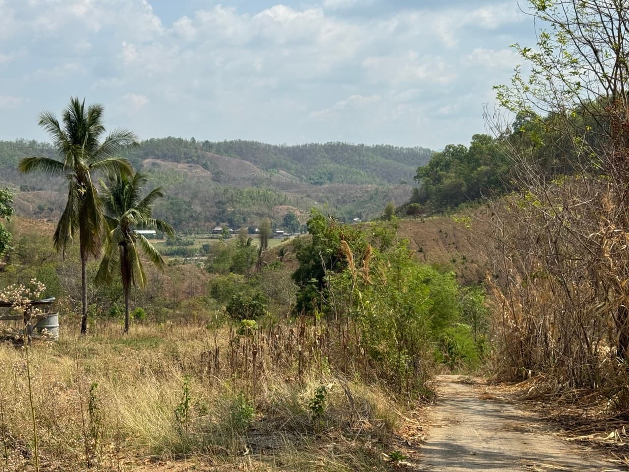 Image 31