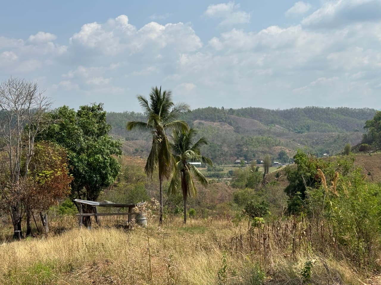 Image 32