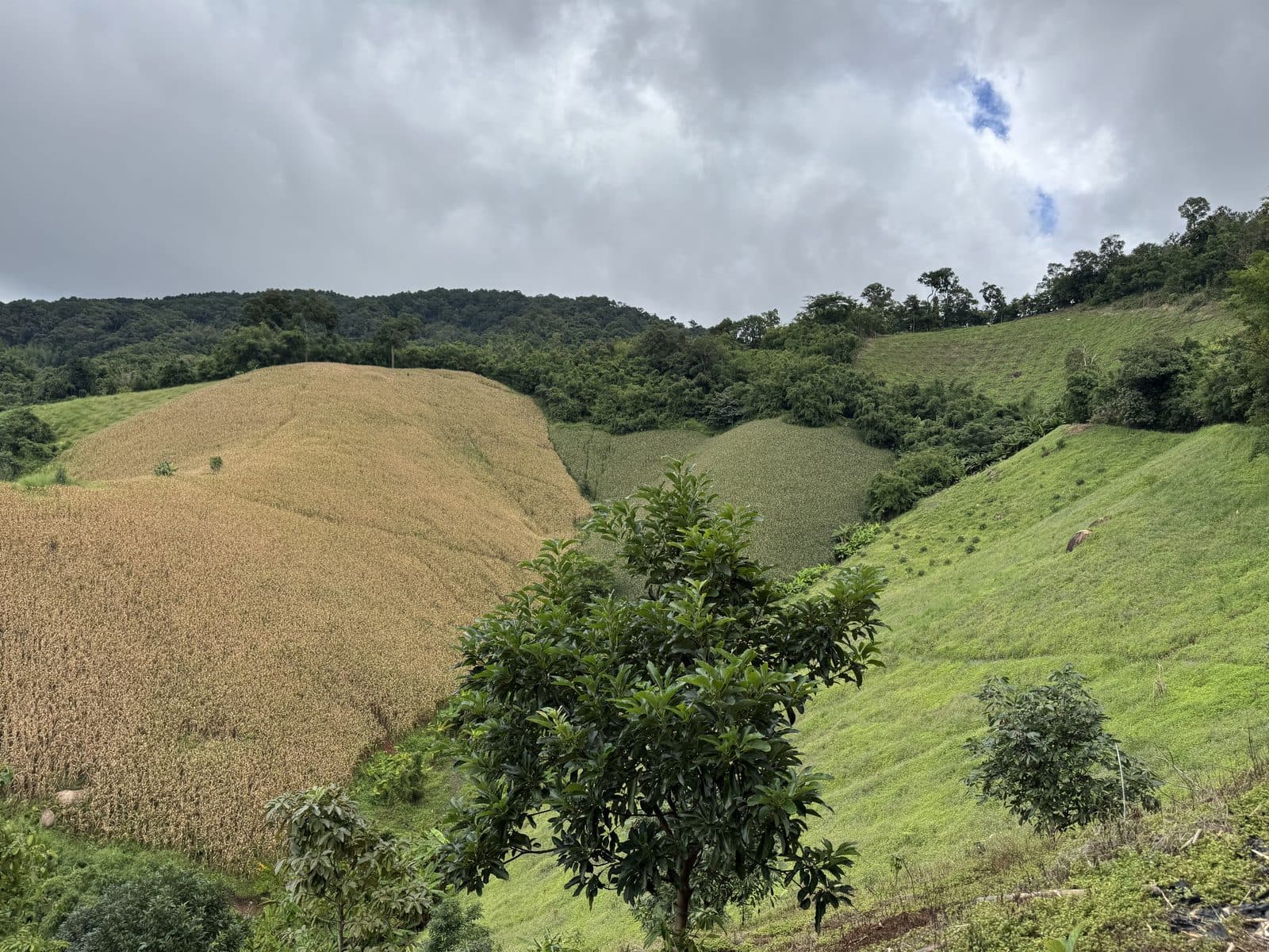Image 11