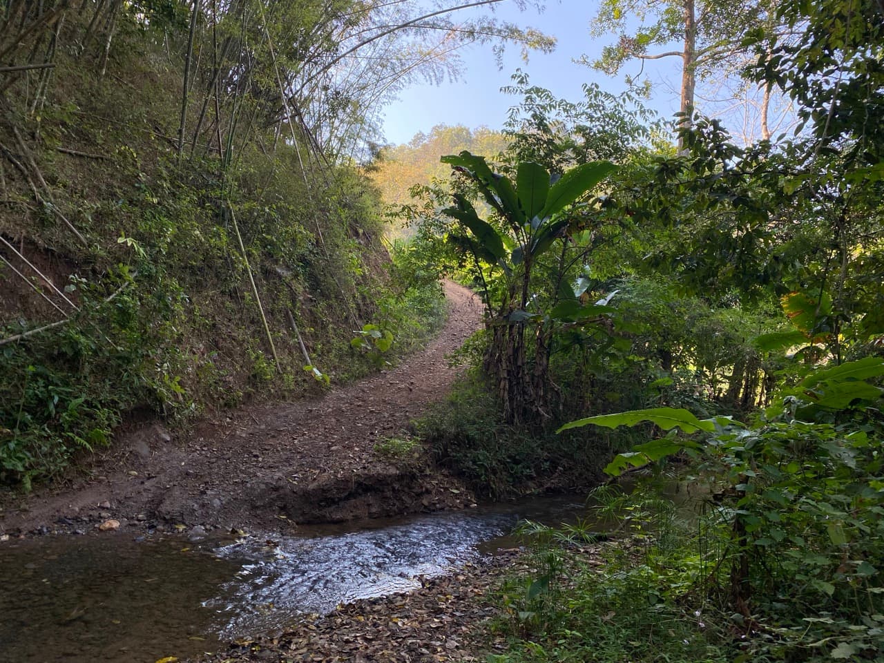 Image 14