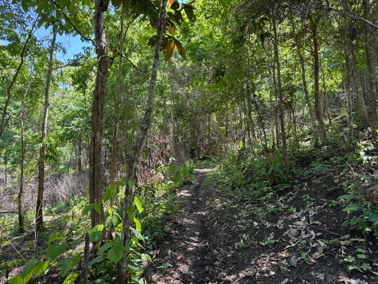 Image 7