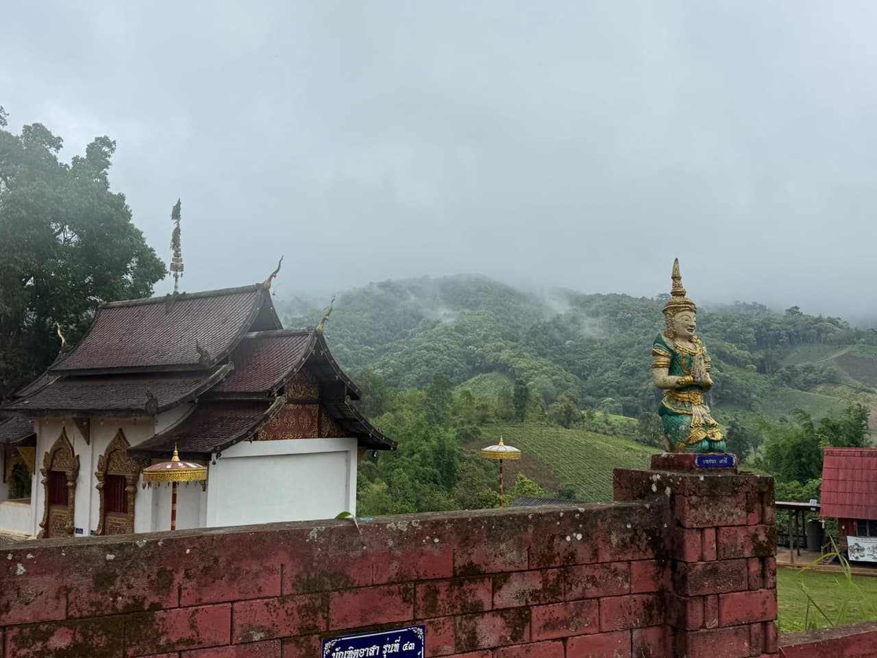 Image 30