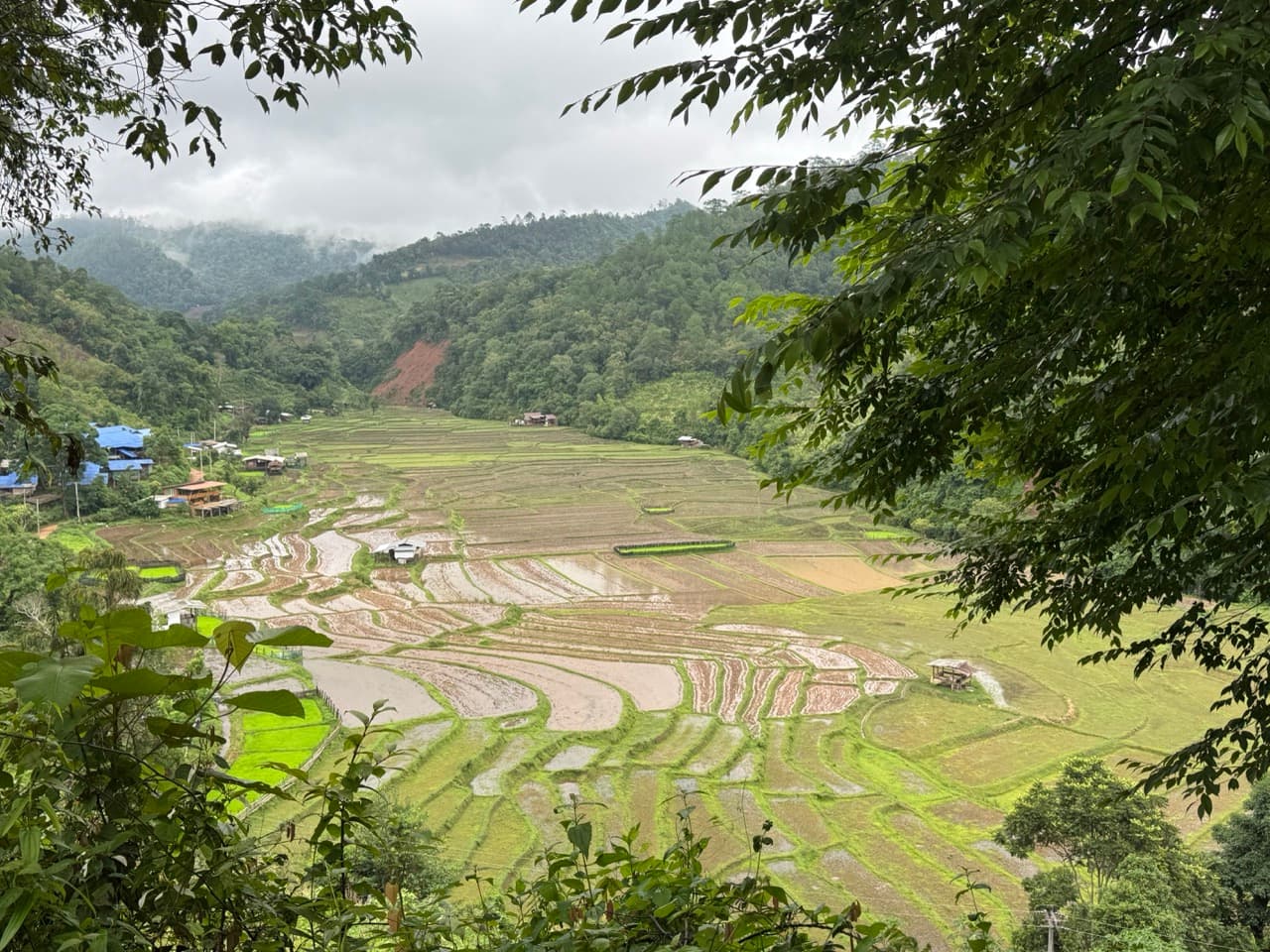 Image 33