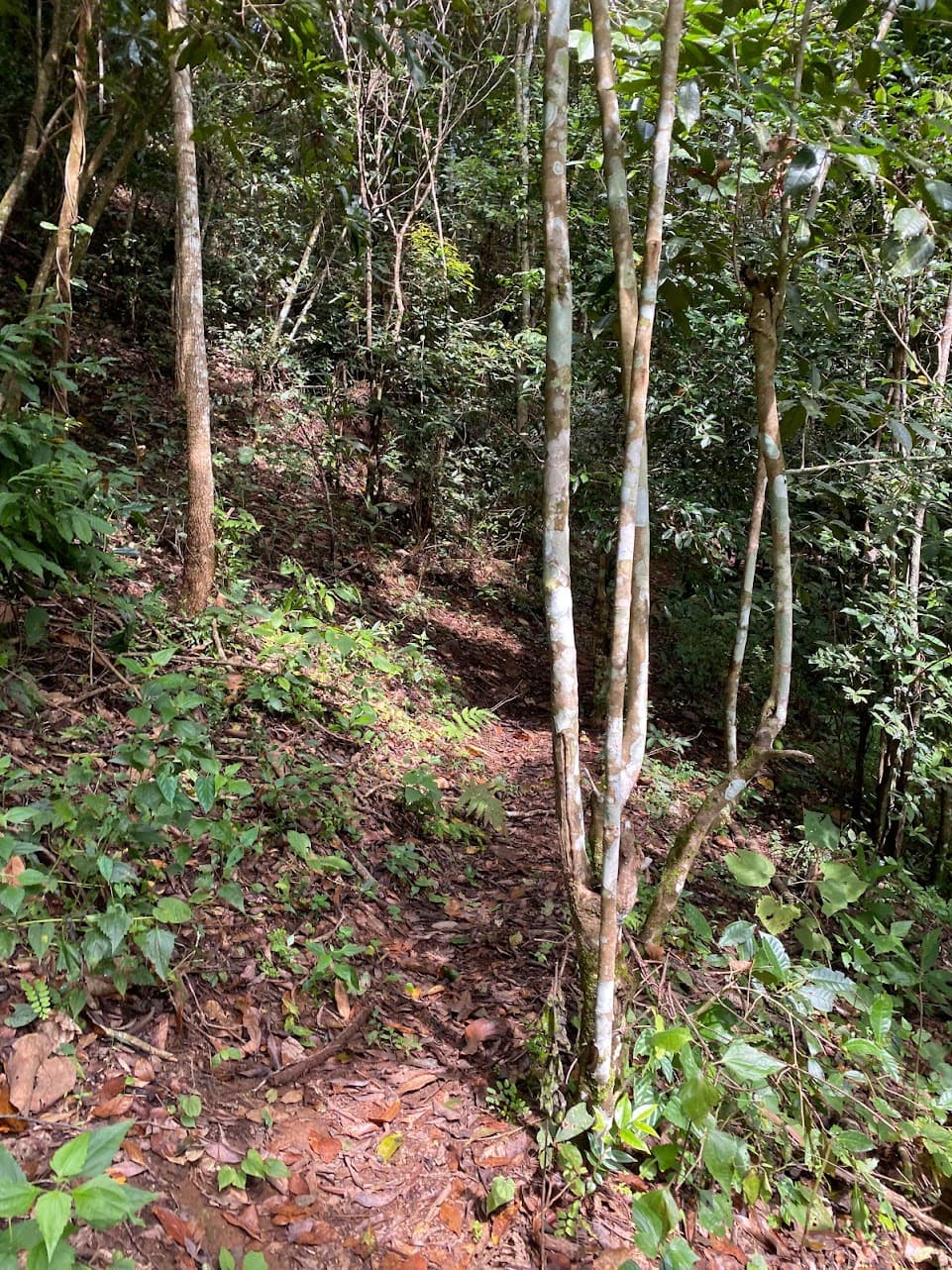 Image 8