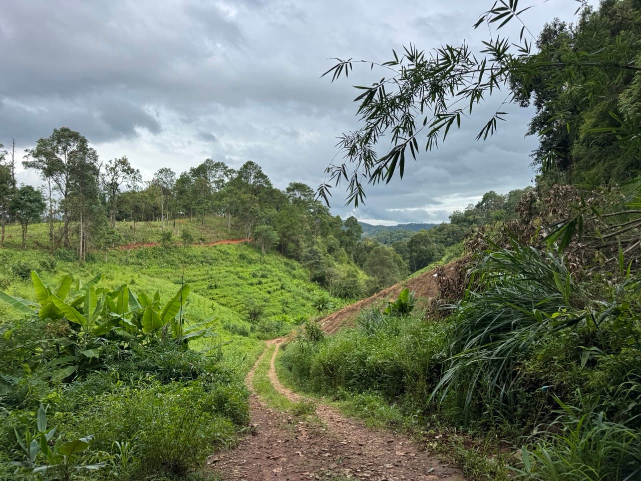 Samoeng to Mon Jam via Farm Roads