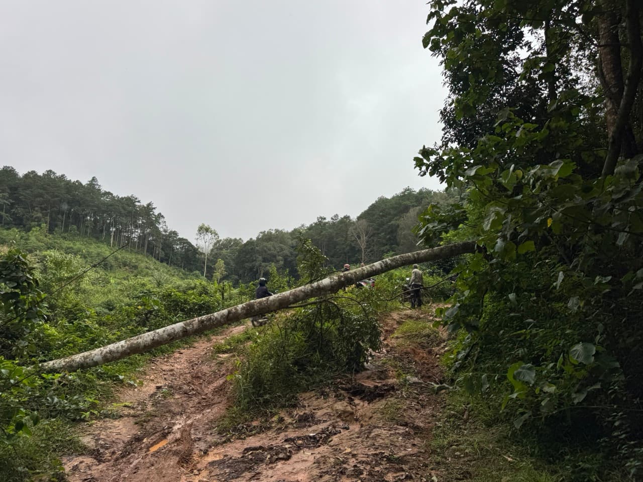 Chom Thong to Mae Chaem - The Short Route — photo 5