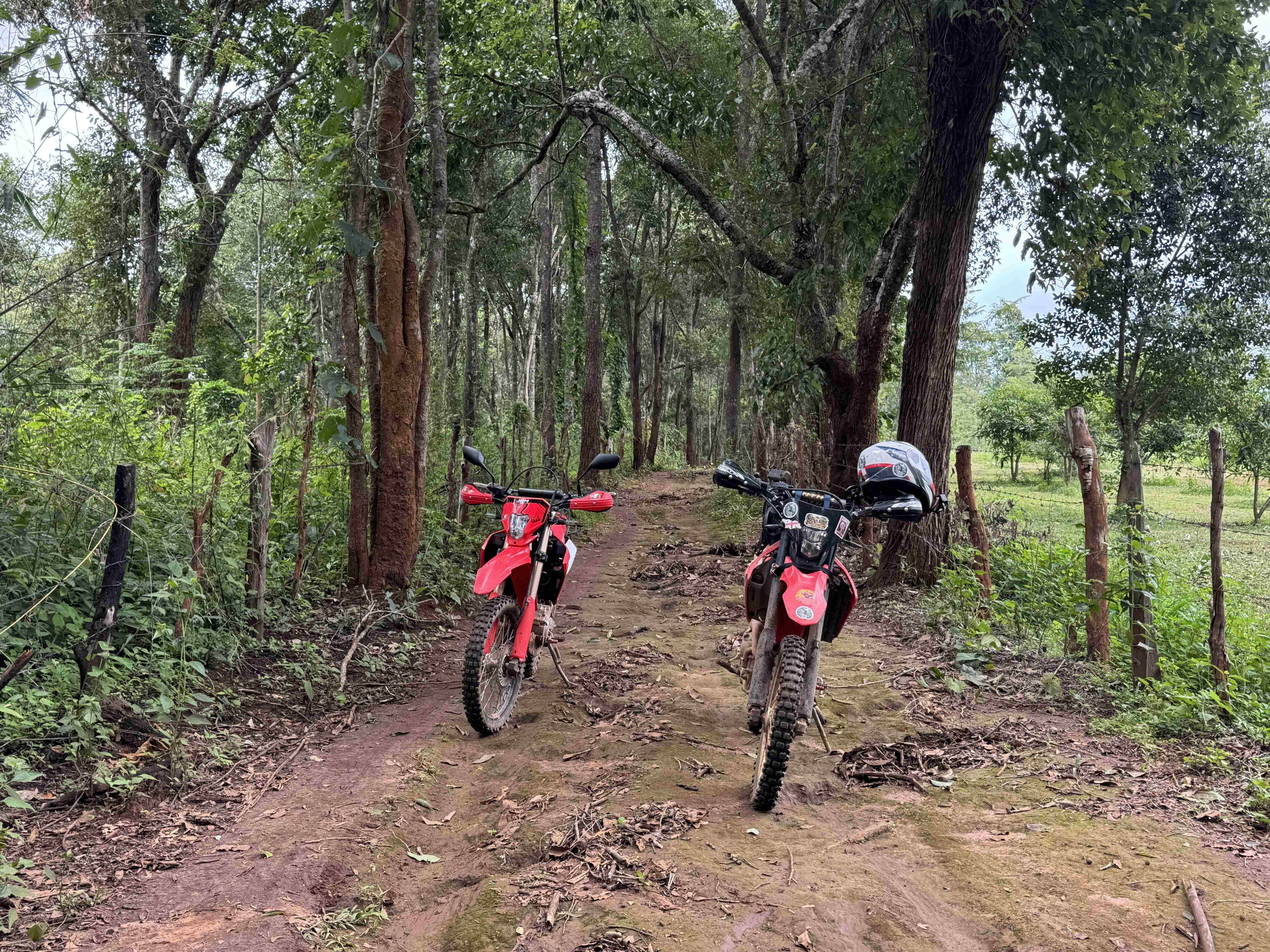 Baan Ngio to Baan Na Ku — trail photo