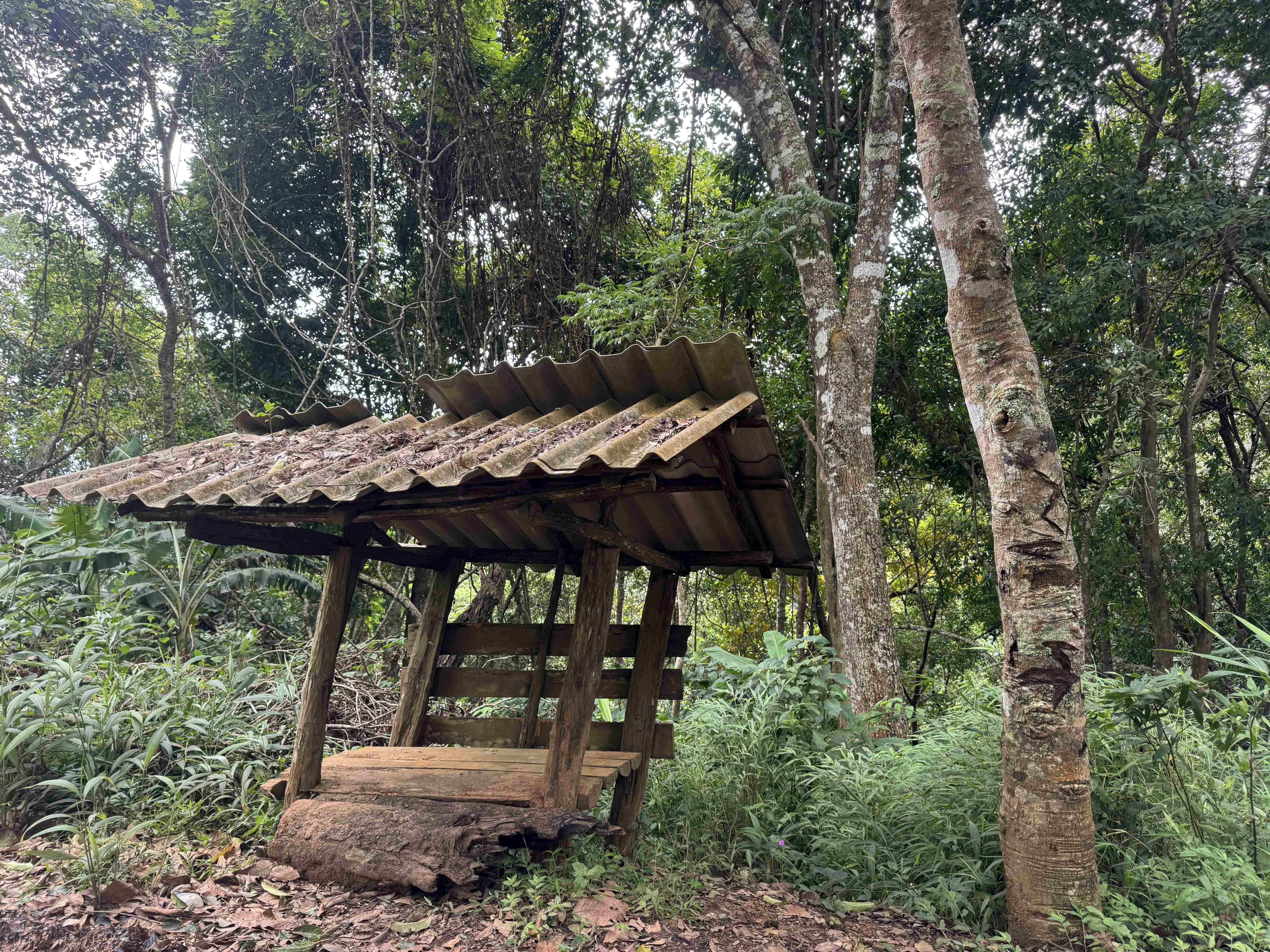Baan Ngio to Baan Na Ku — photo 6