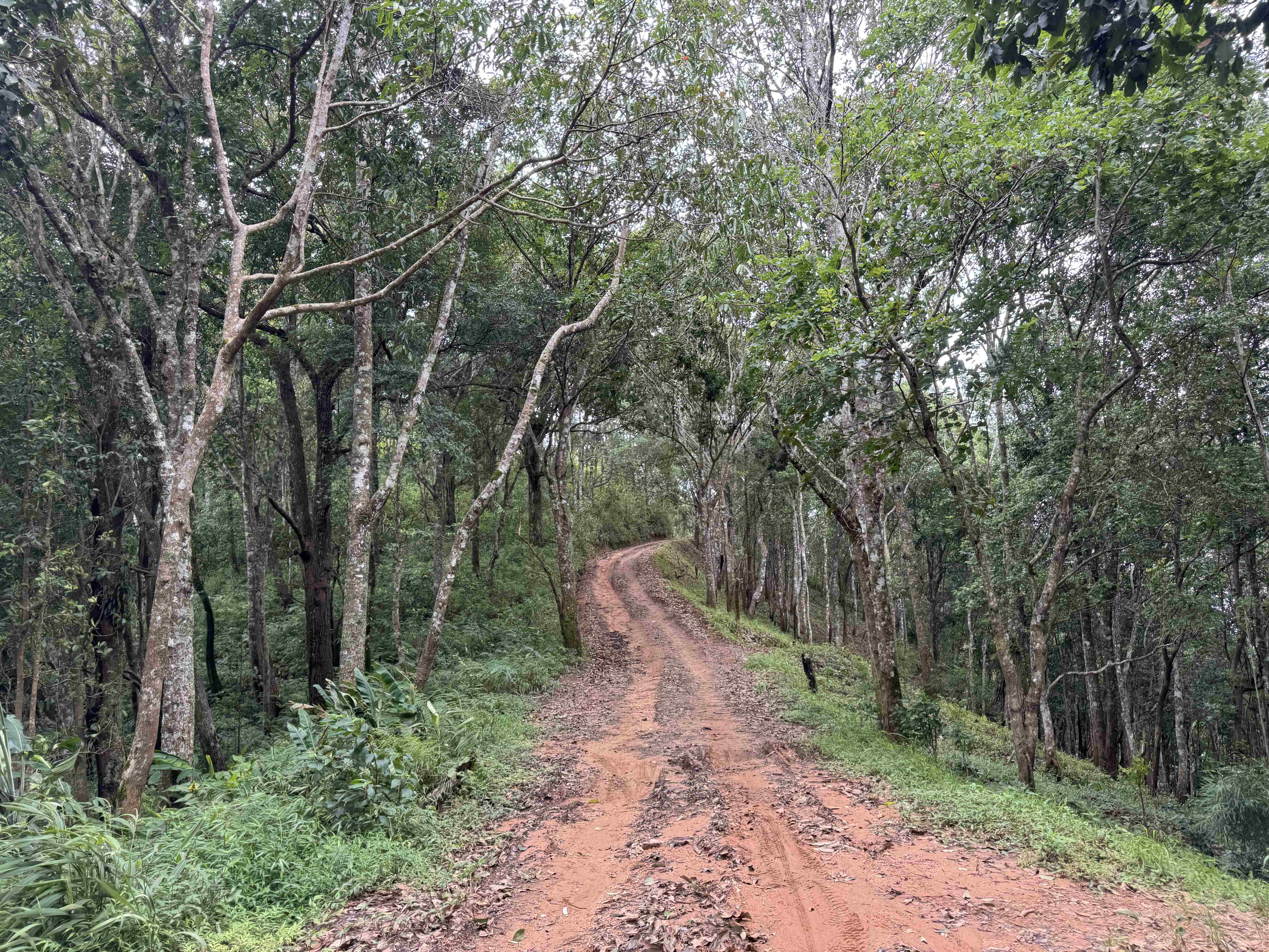 Baan Ngio to Baan Na Ku — photo 7