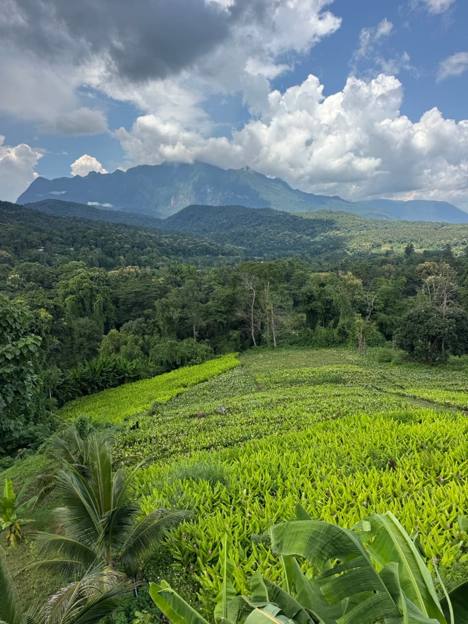 Chiang Dao Rocky Ridge to San Pak Kia — photo 5