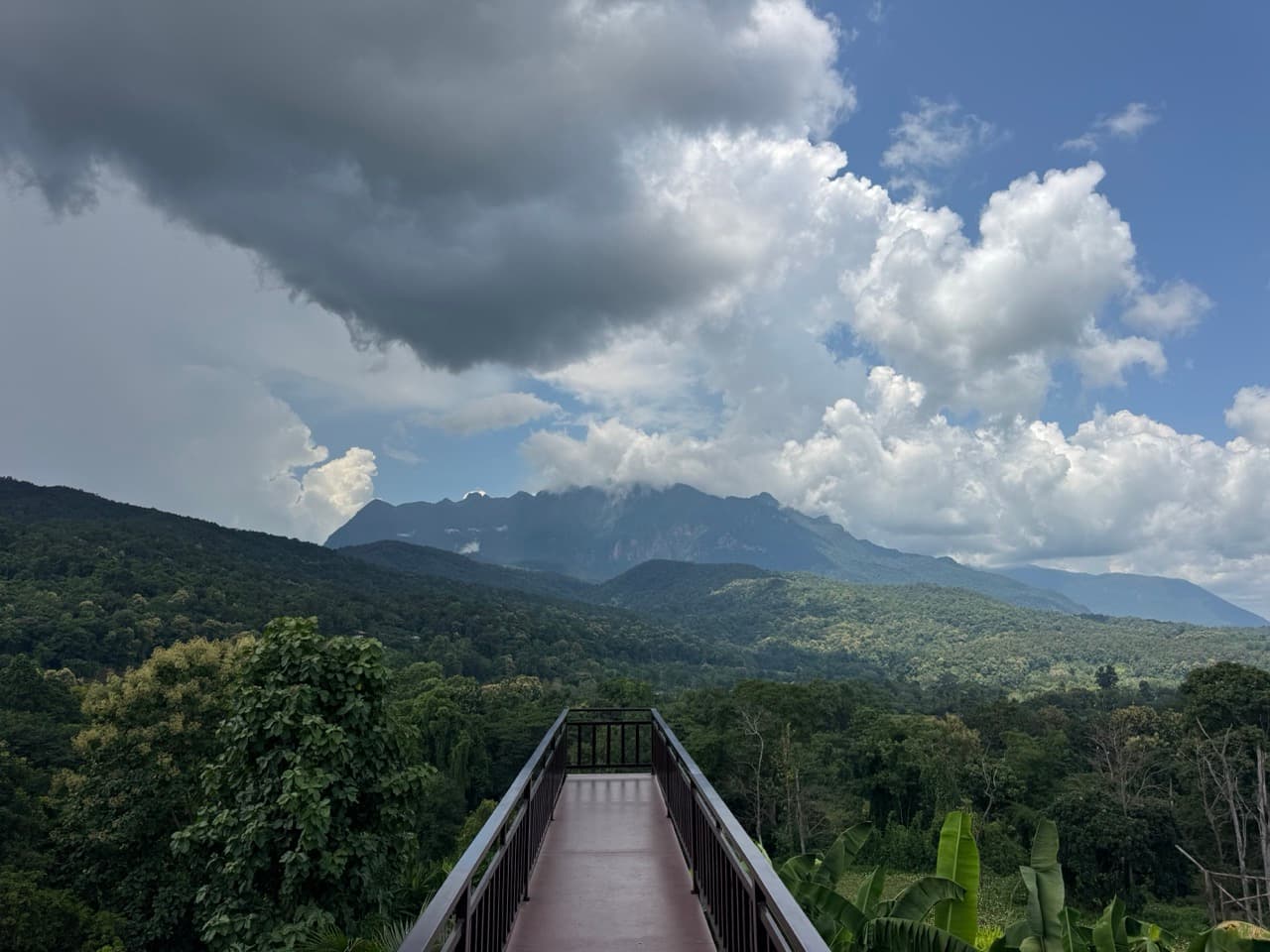 Chiang Dao Rocky Ridge to San Pak Kia — photo 9