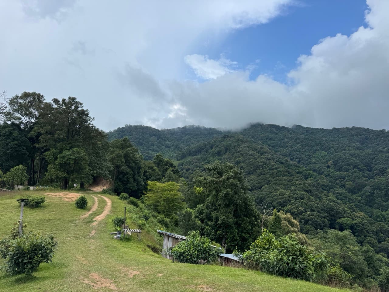 Chiang Dao Rocky Ridge to San Pak Kia — photo 11