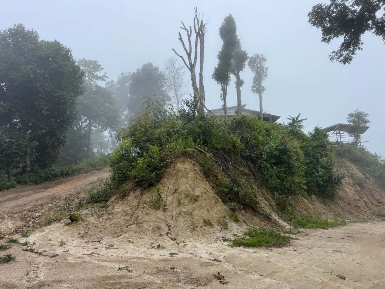 Chiang Dao Rocky Ridge to San Pak Kia — photo 15