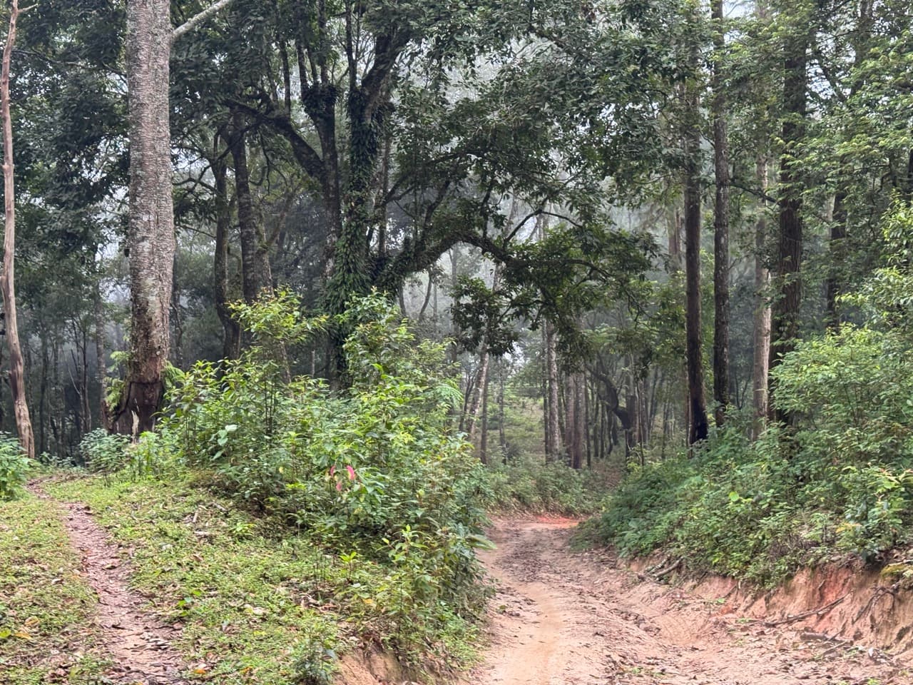 Chiang Dao Rocky Ridge to San Pak Kia — photo 16