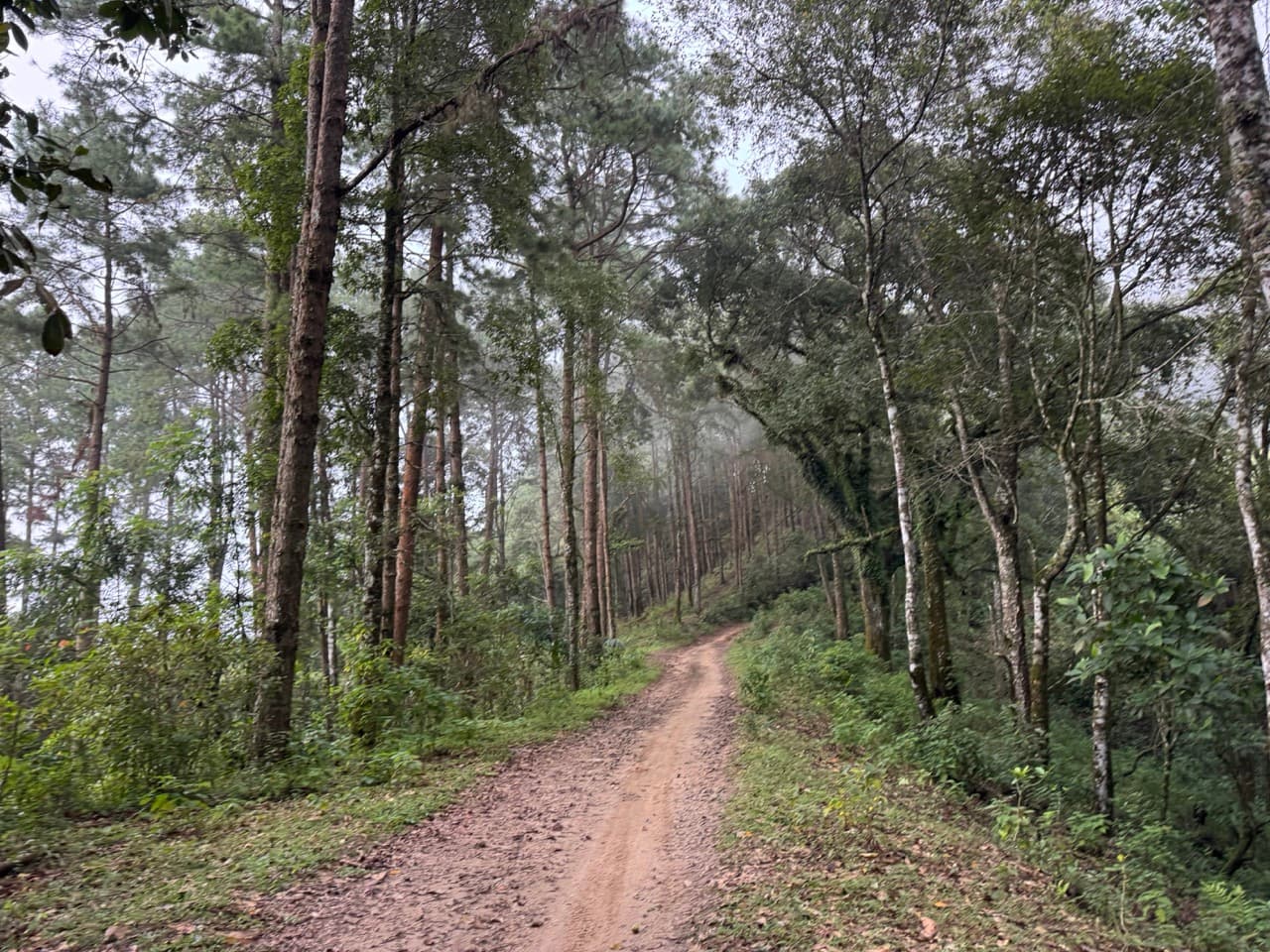 Chiang Dao Rocky Ridge to San Pak Kia — photo 17