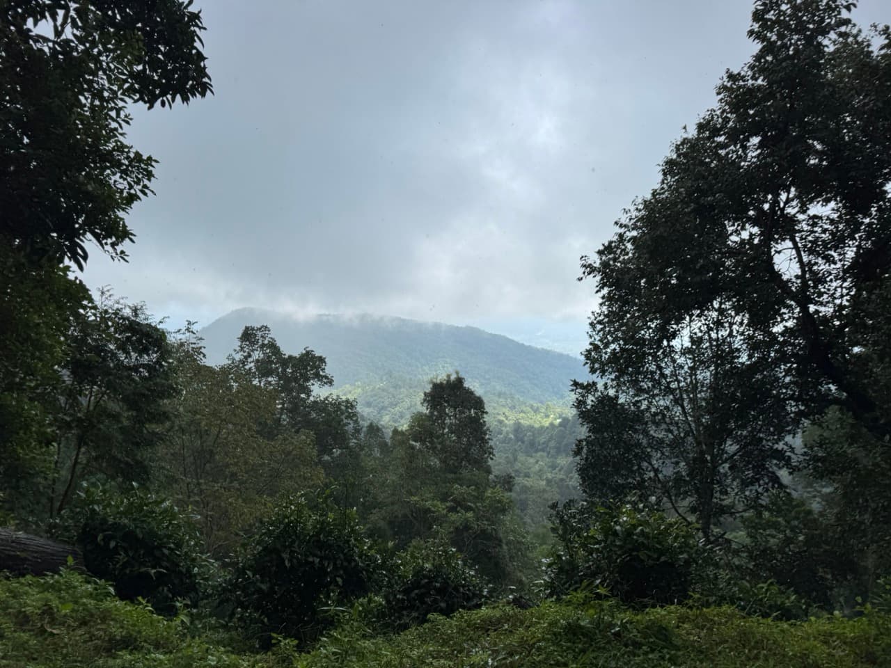 Chiang Dao Rocky Ridge to San Pak Kia — photo 18