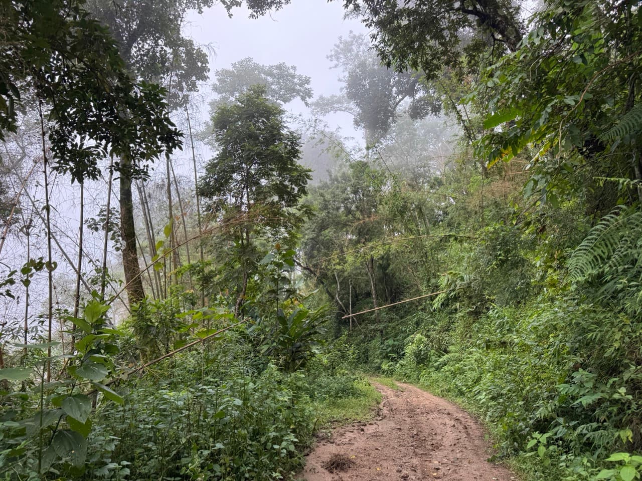 Chiang Dao Rocky Ridge to San Pak Kia — photo 19