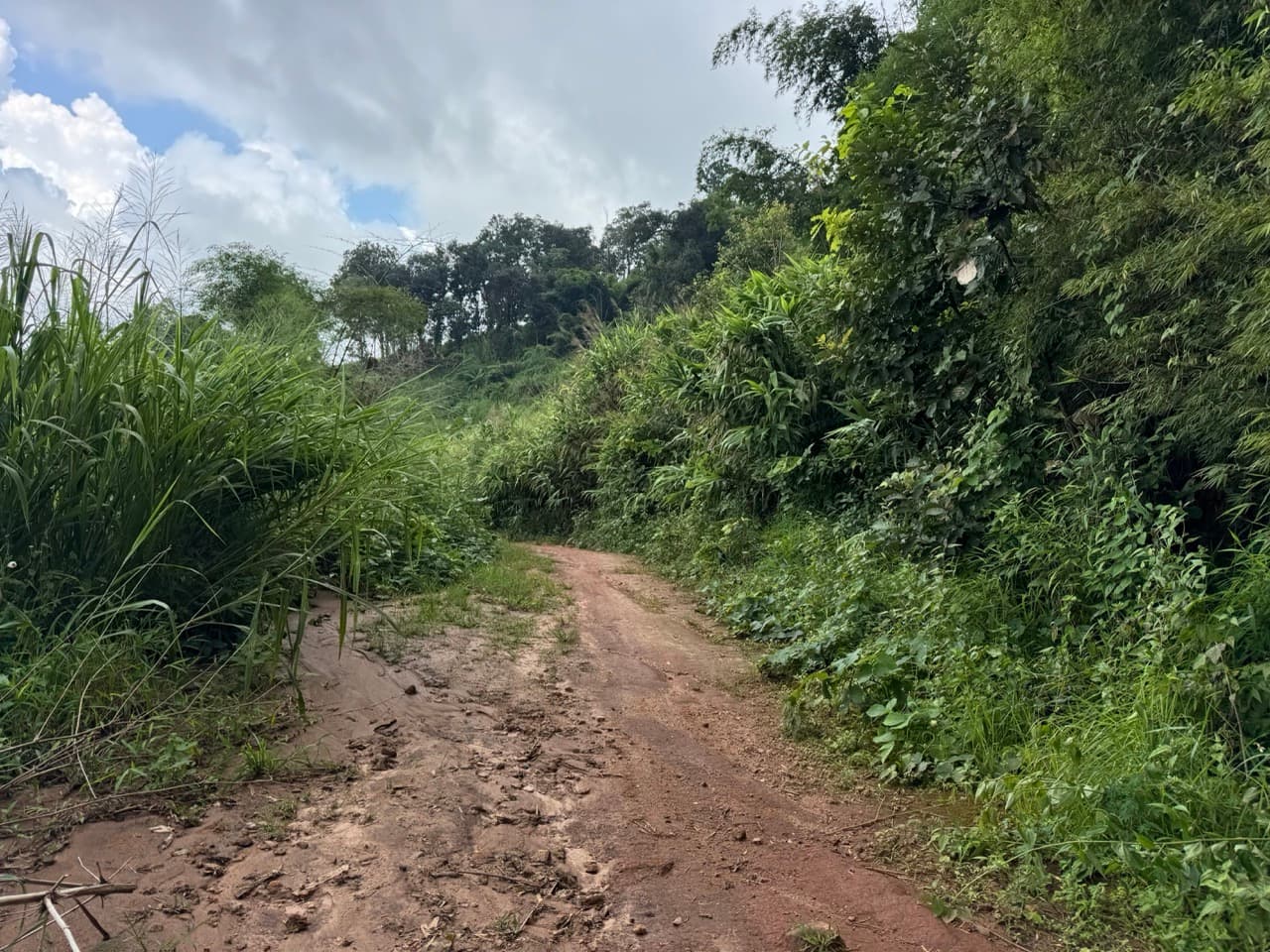 Chiang Dao Rocky Ridge to San Pak Kia — photo 21