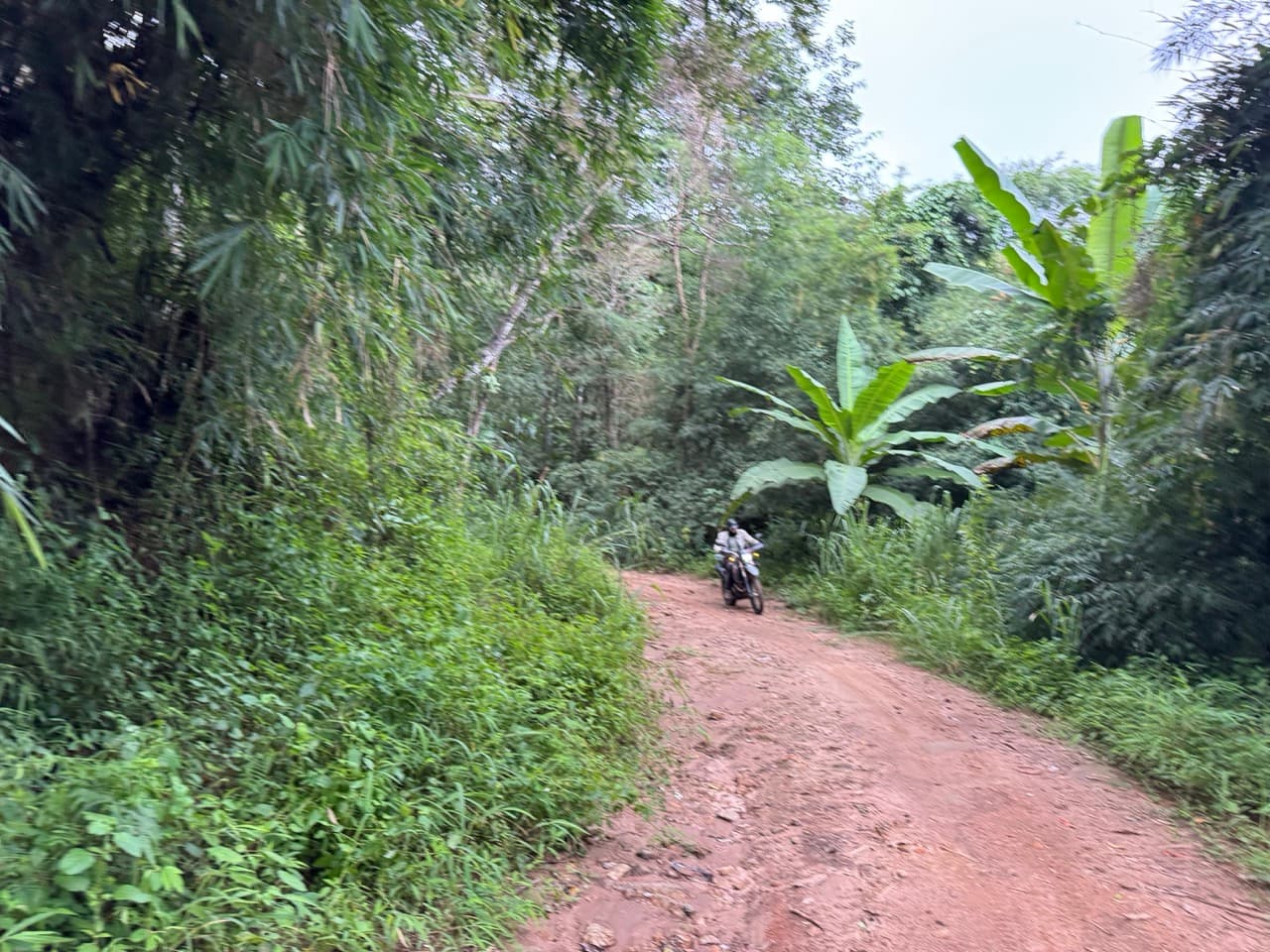 Chiang Dao Rocky Ridge to San Pak Kia — photo 23