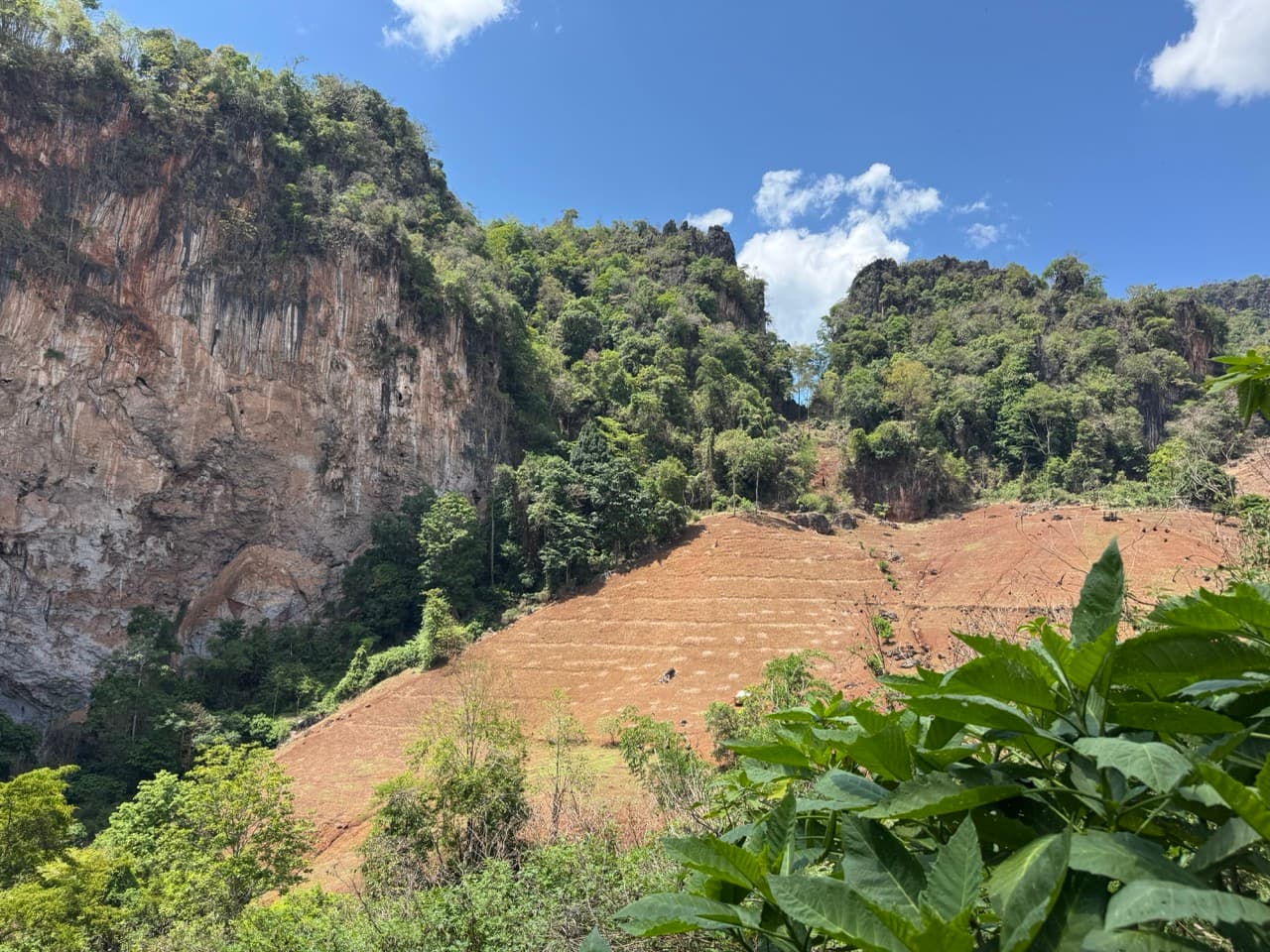 PaiLoop5 — trail photo