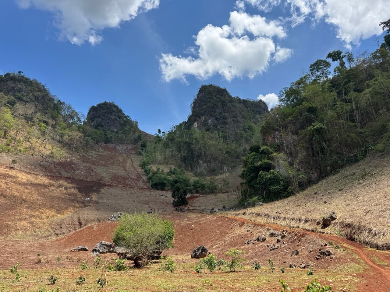 PaiLoop5 — photo