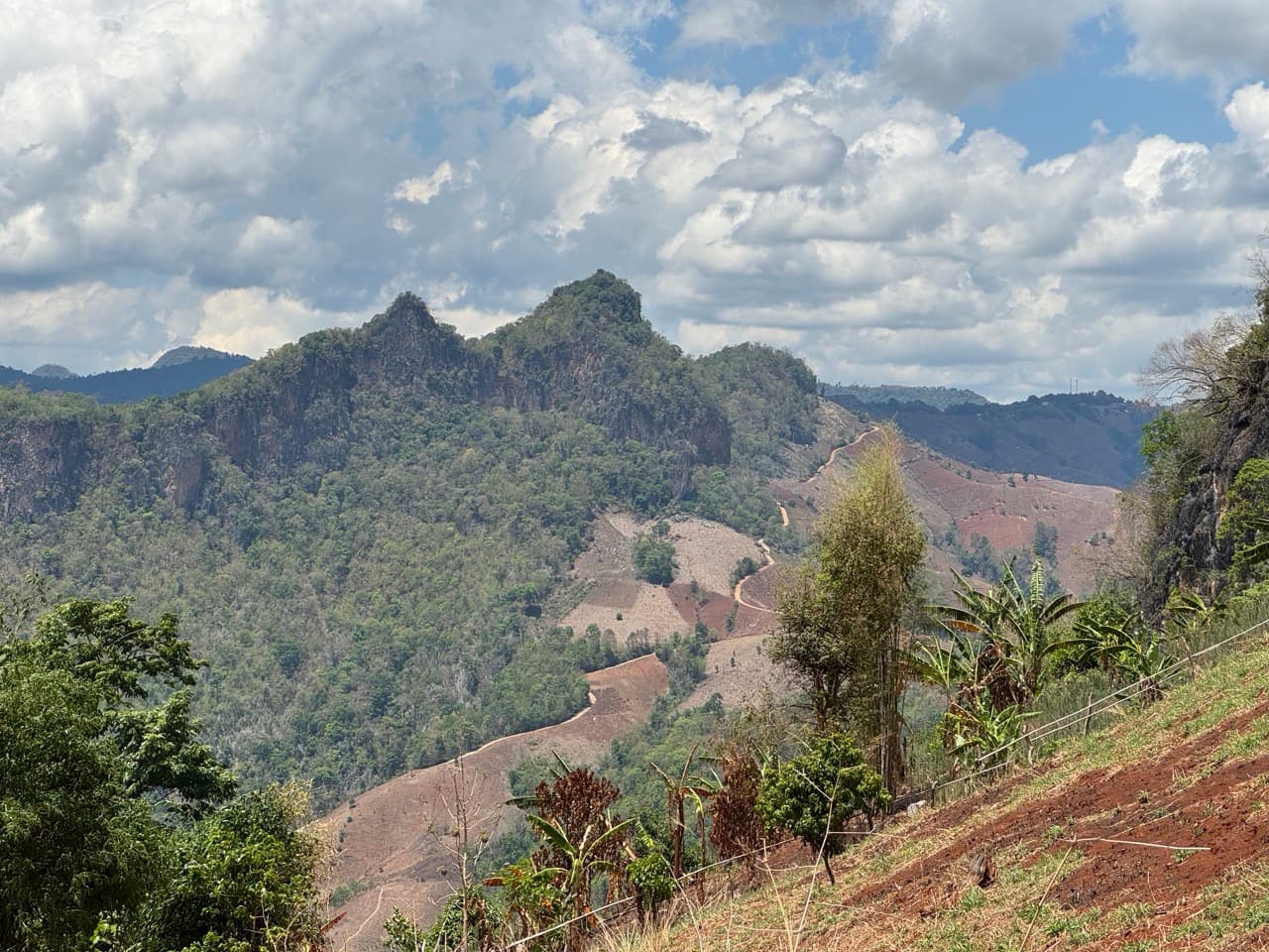 PaiLoop5 — photo 4