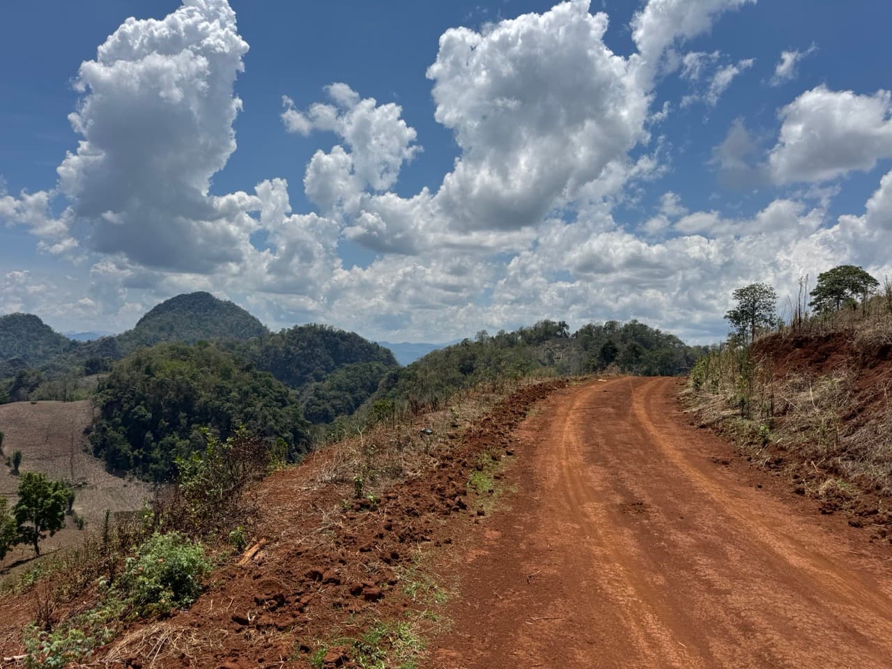 PaiLoop5 — photo 7