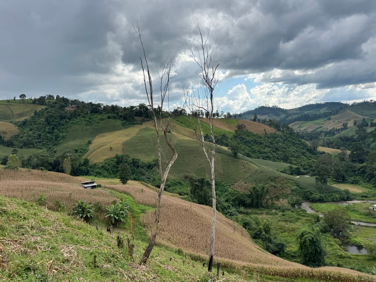 Pai Loop — photo